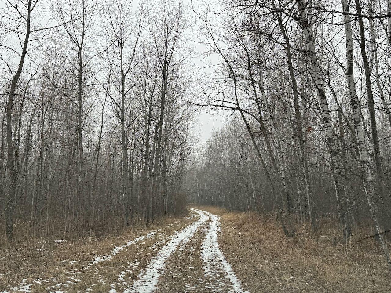 80+ Acres Willow Creek Road, Kelliher, Minnesota image 16