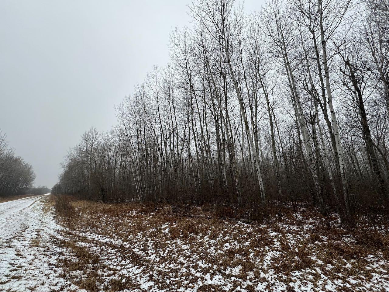 80+ Acres Willow Creek Road, Kelliher, Minnesota image 17