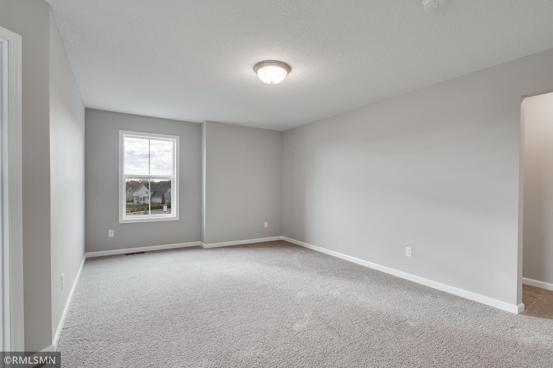 6256 Radford Avenue, Otsego, Minnesota image 18