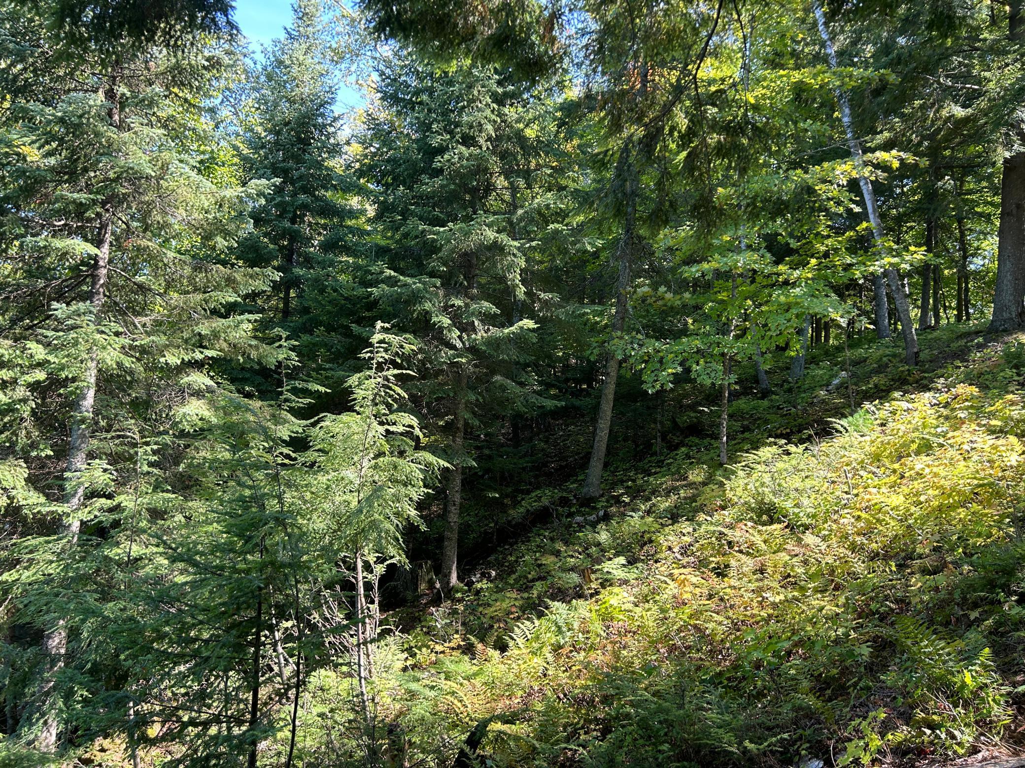 Lot 4 Crane Lane, Hayward, Wisconsin image 11