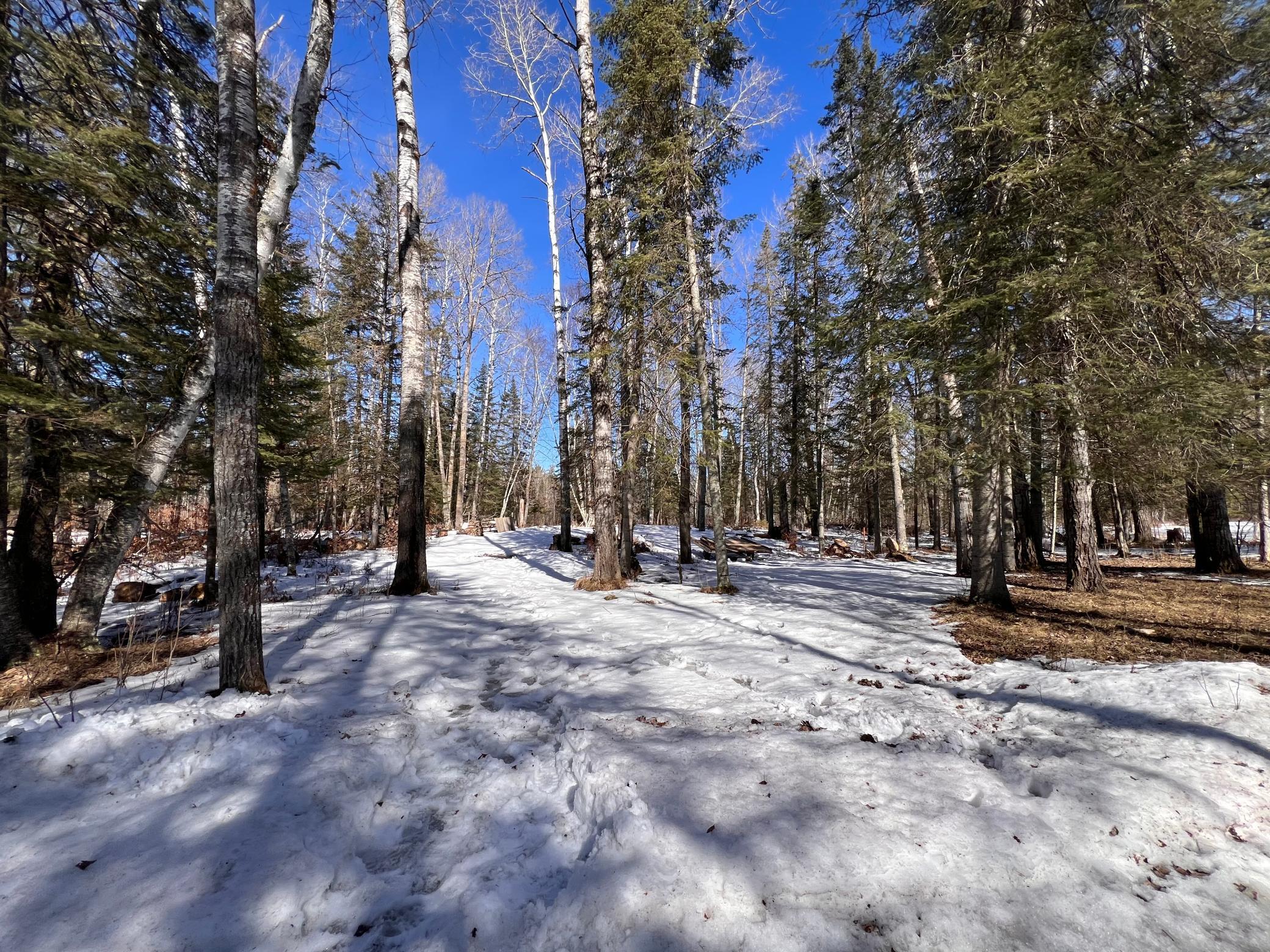 TBD Necktie Loop, Lake George, Minnesota image 1