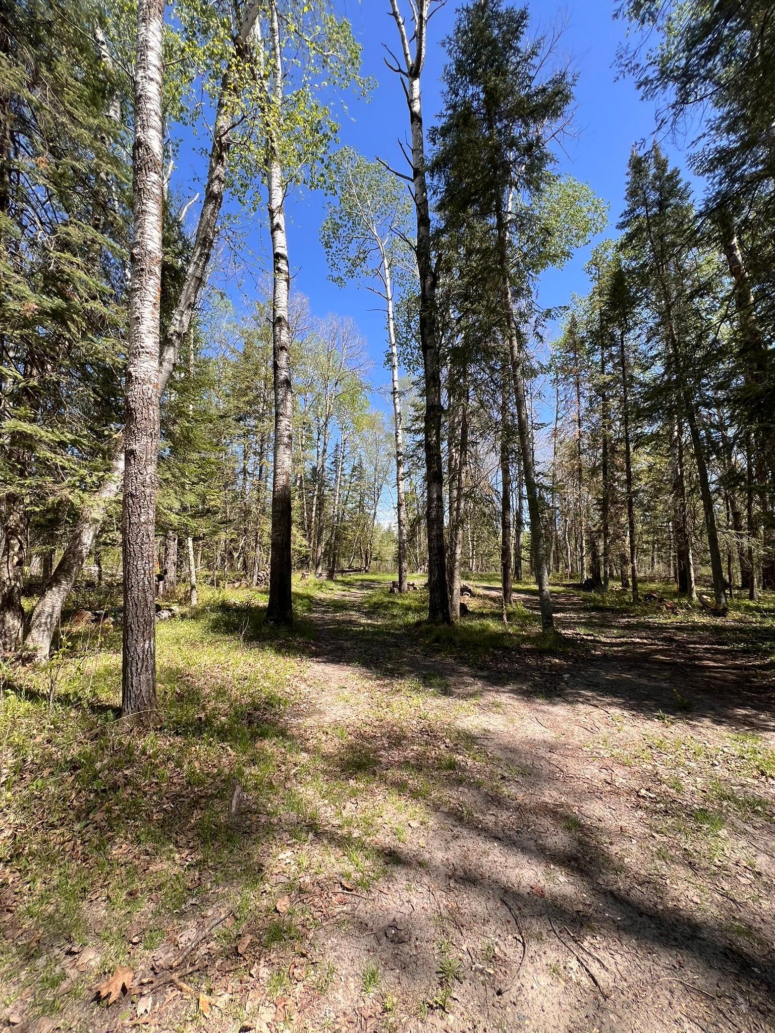 TBD Necktie Loop, Lake George, Minnesota image 5