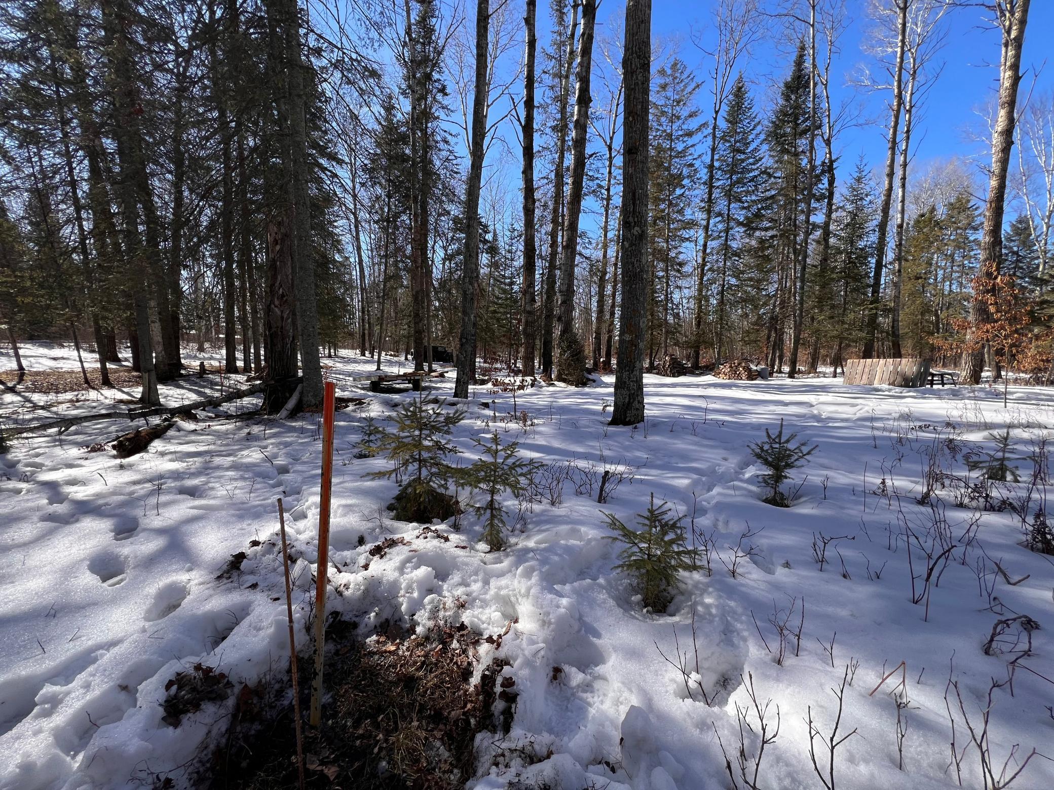 TBD Necktie Loop, Lake George, Minnesota image 8