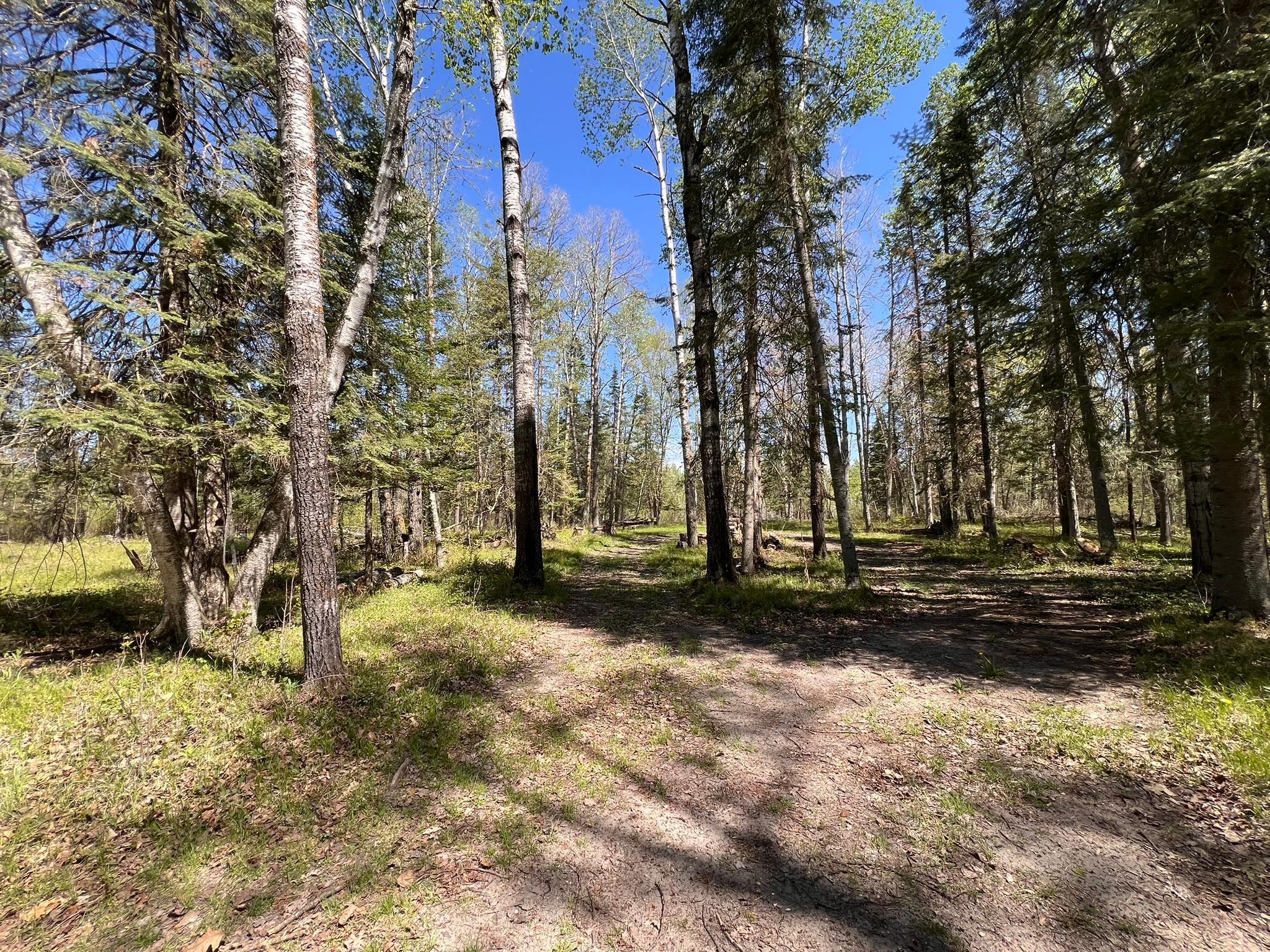 TBD Necktie Loop, Lake George, Minnesota image 3