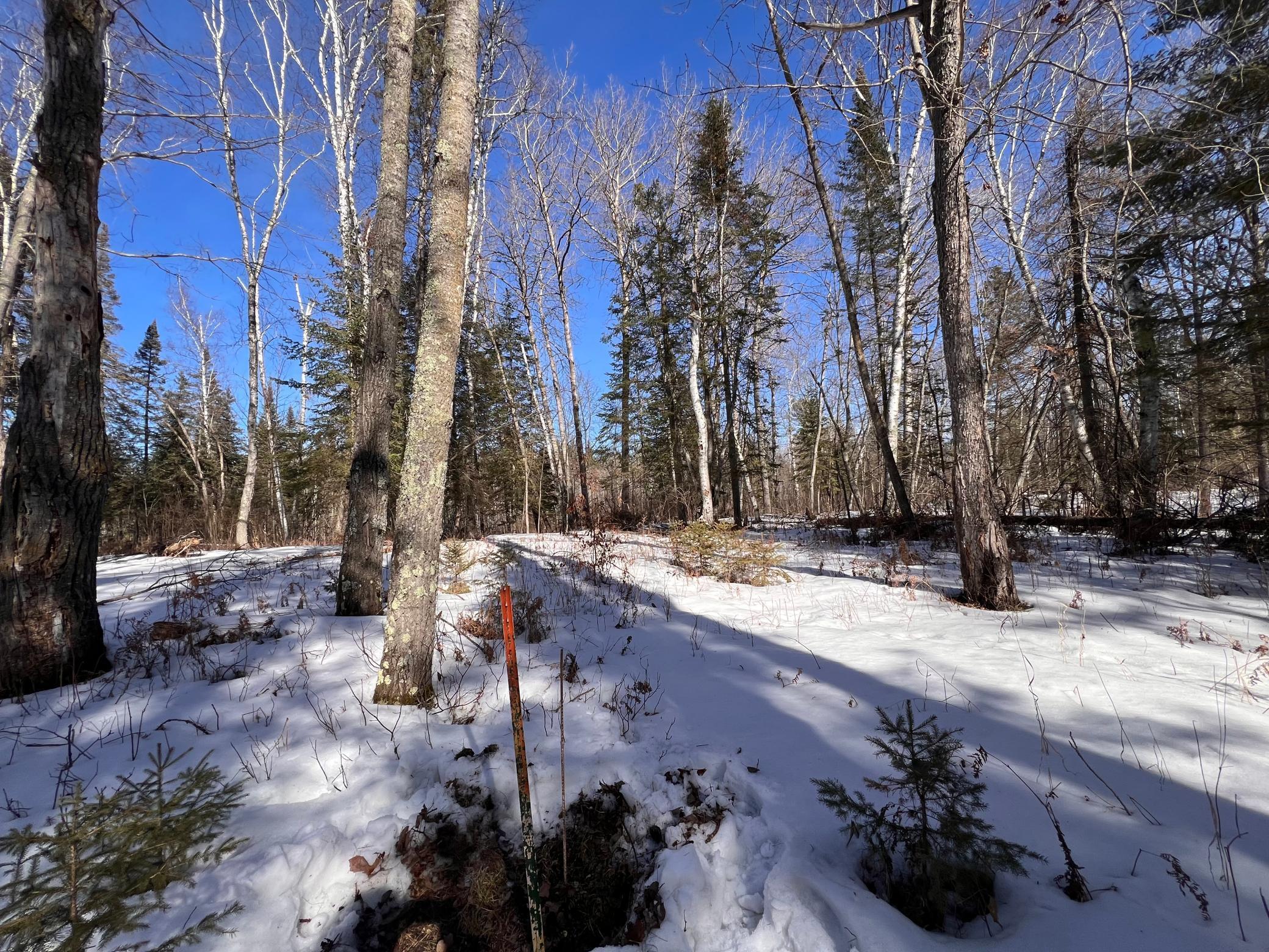 TBD Necktie Loop, Lake George, Minnesota image 9