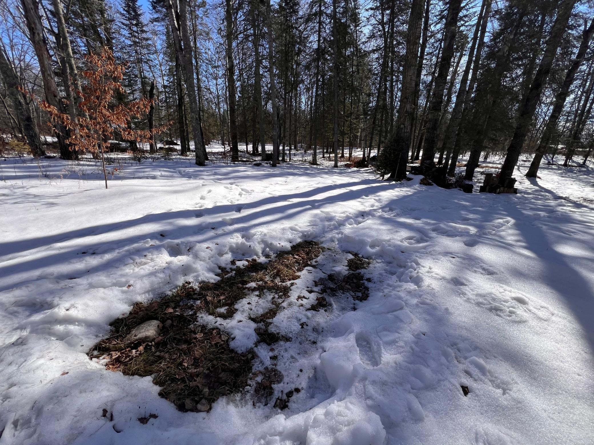 TBD Necktie Loop, Lake George, Minnesota image 4