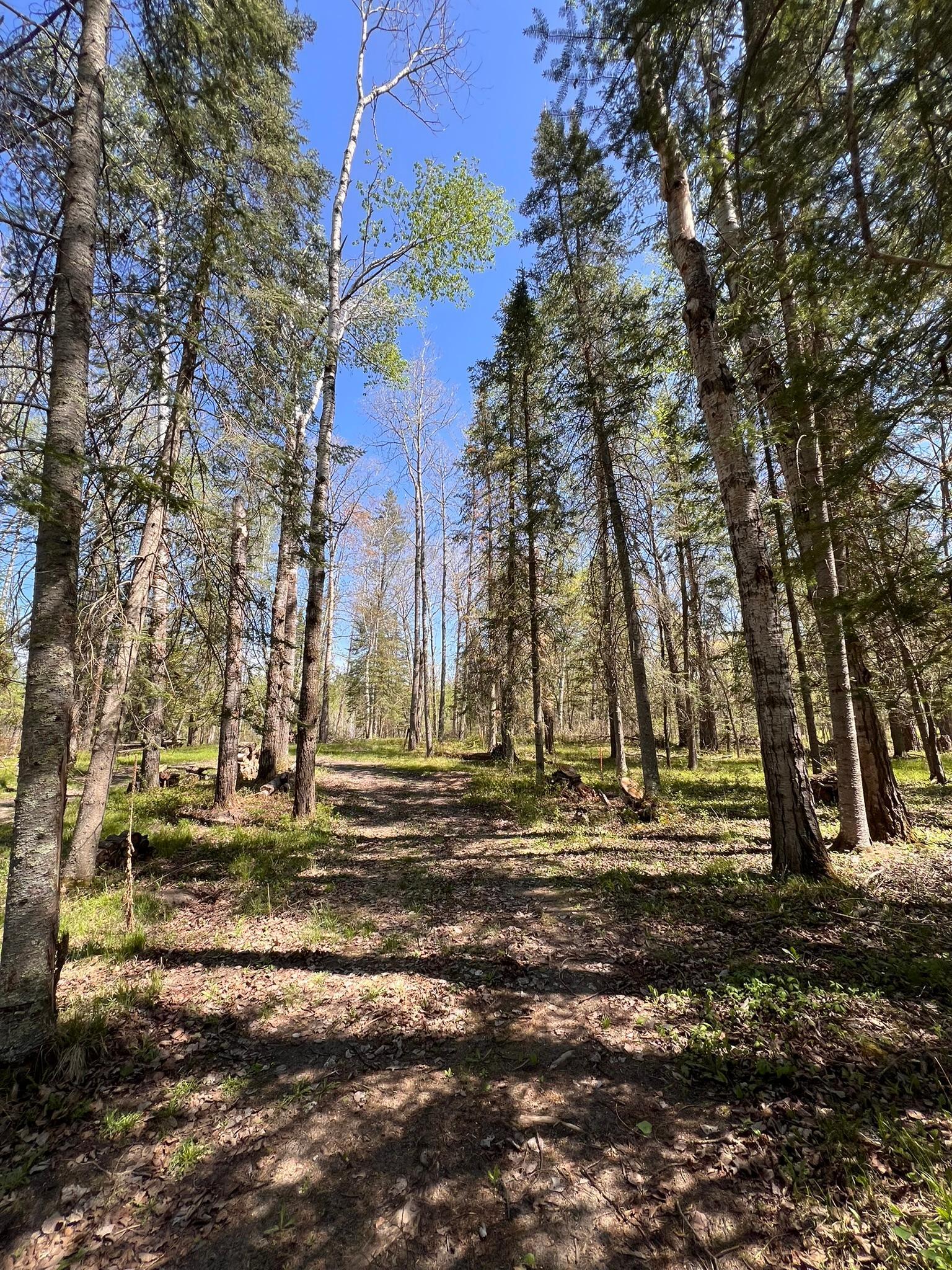 TBD Necktie Loop, Lake George, Minnesota image 1