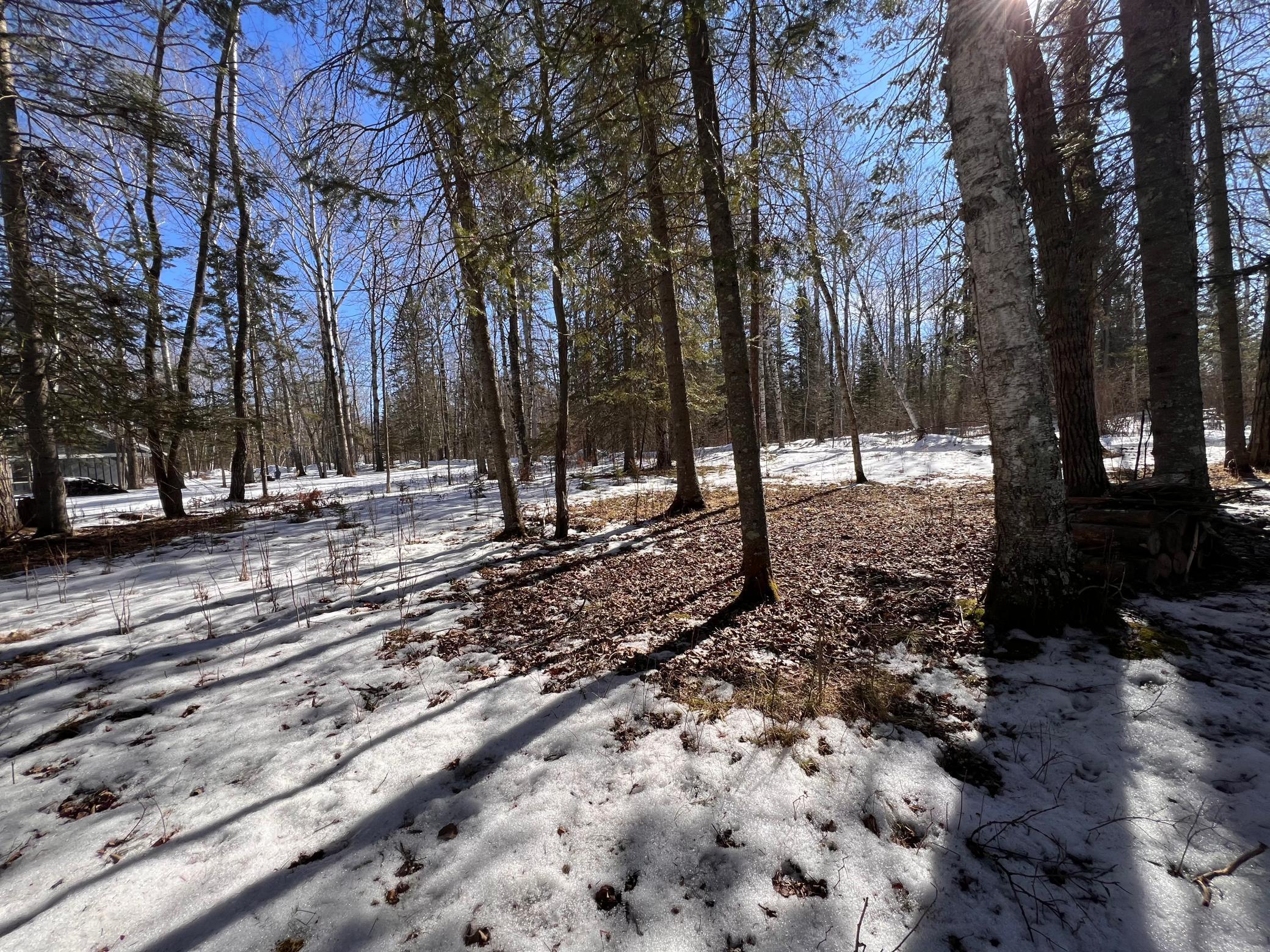 TBD Necktie Loop, Lake George, Minnesota image 13