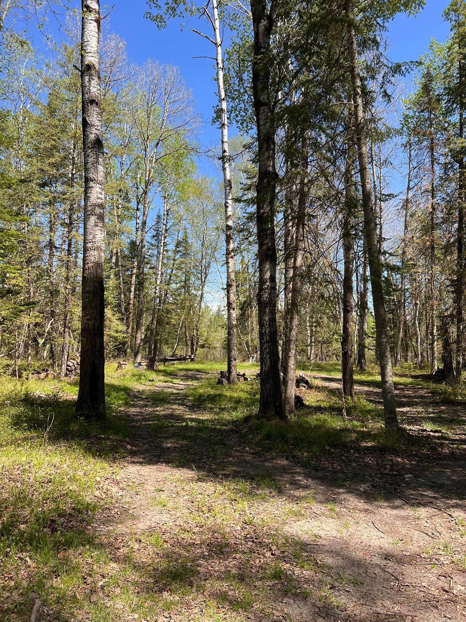 TBD Necktie Loop, Lake George, Minnesota image 8