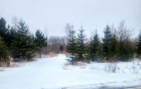 Vacant Land For Sale - COUNTY ROAD 17 E County Road 17 E<br/> Koochiching County, Mizpah, MN 56660