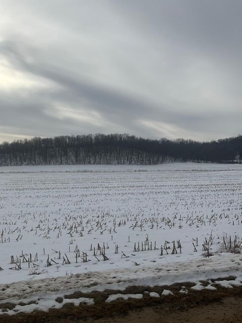 Vacant Land For Sale - TBD Back Valley Road<br/> Pepin County, Pepin, WI 54759