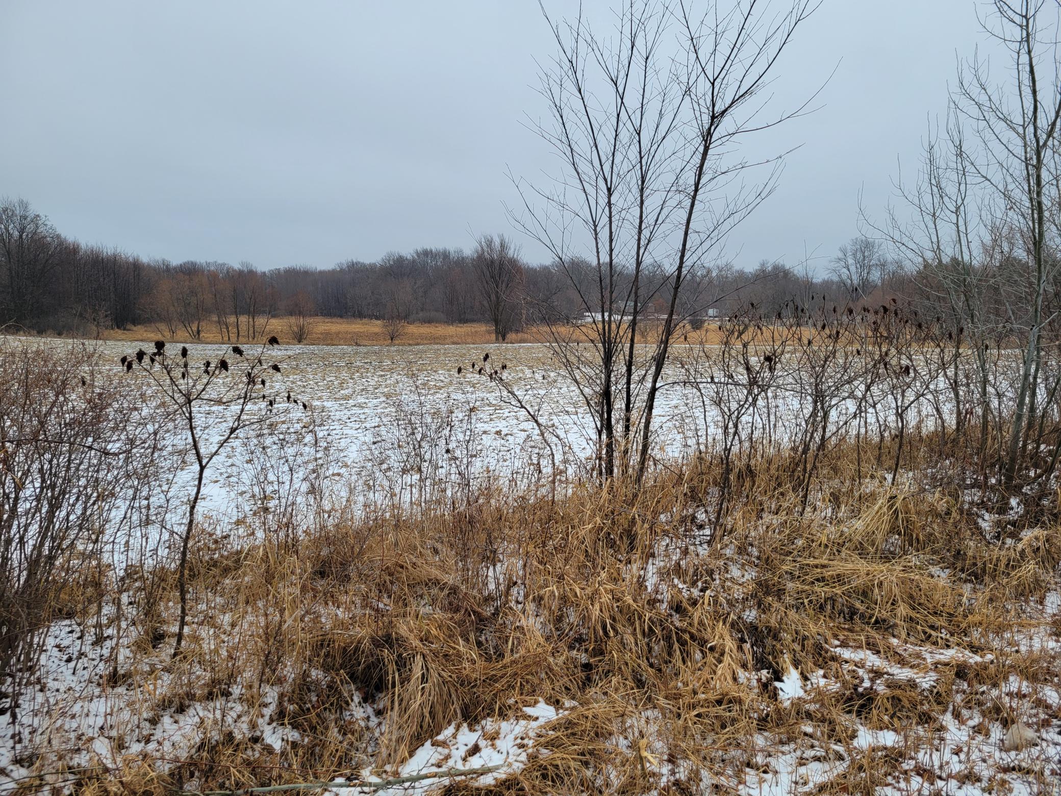 15100 392nd Street, North Branch, Minnesota image 10