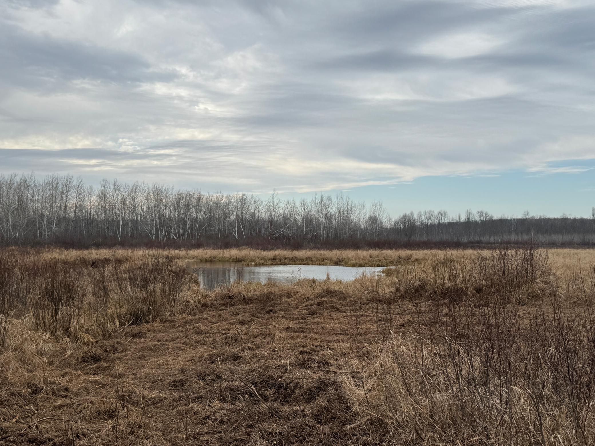 58484 Rutabaga Road, Sandstone, Minnesota image 10