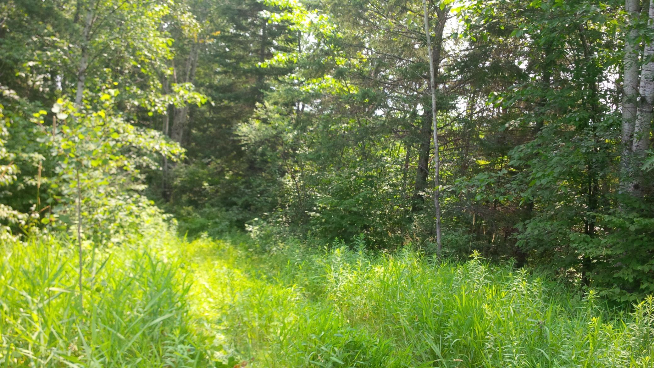TBD County Rd 8, Moose Lake, Minnesota image 9