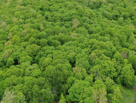 Vacant Land For Sale - (LOT 10) TBD NE Rock Lake Road<br/> Rochert, MN 56578