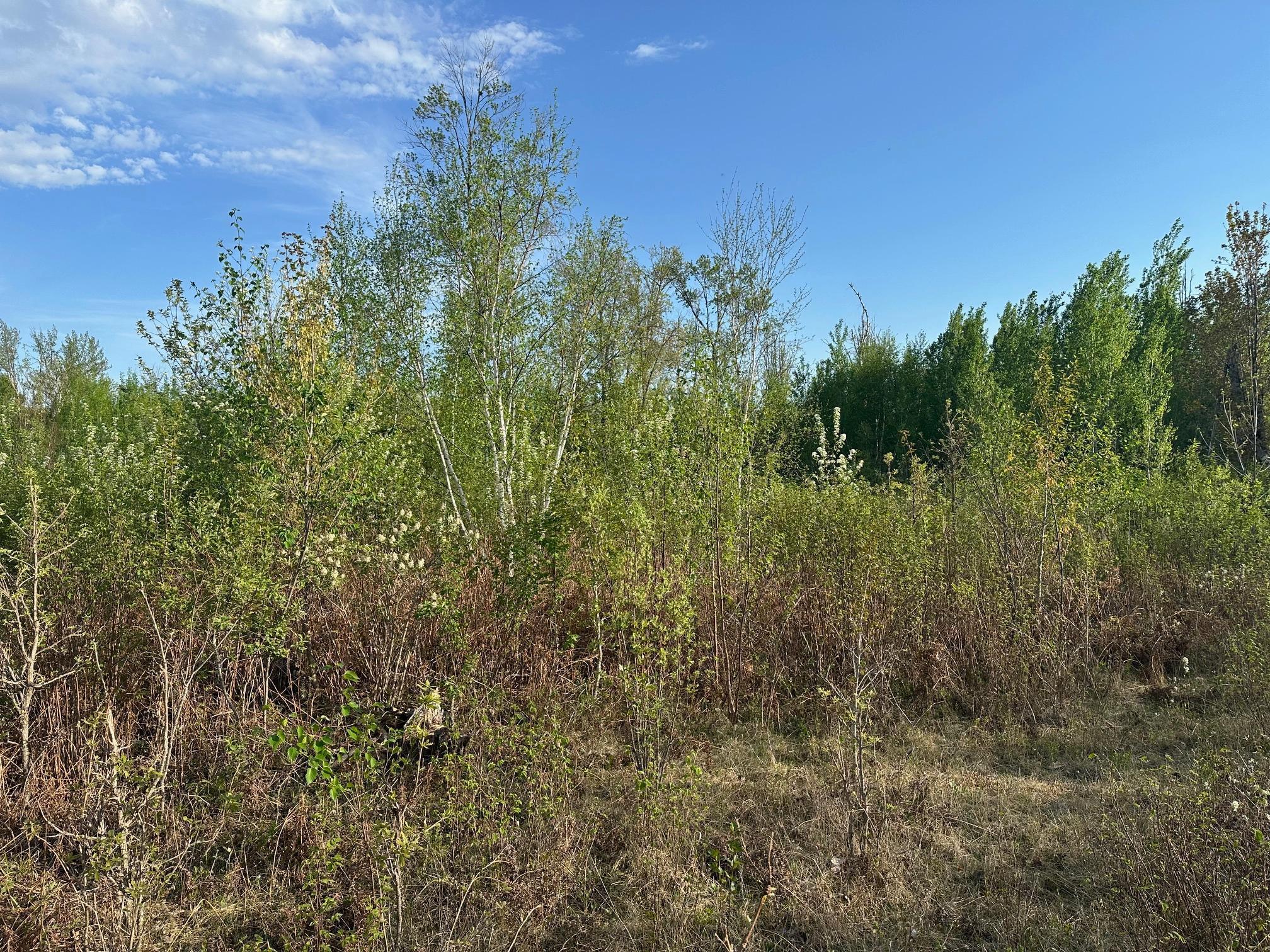 2045 County 47, Longville, Minnesota image 13