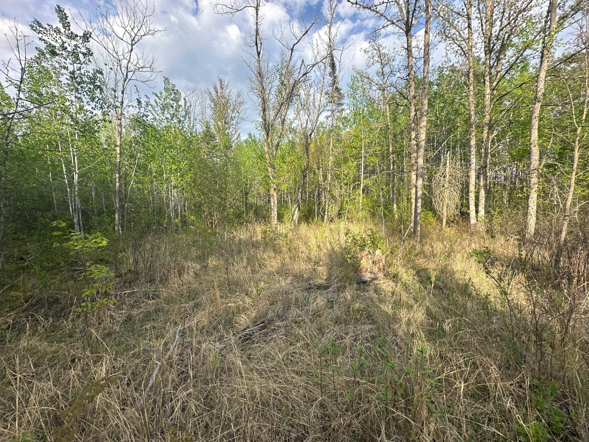 2045 County 47, Longville, Minnesota image 8