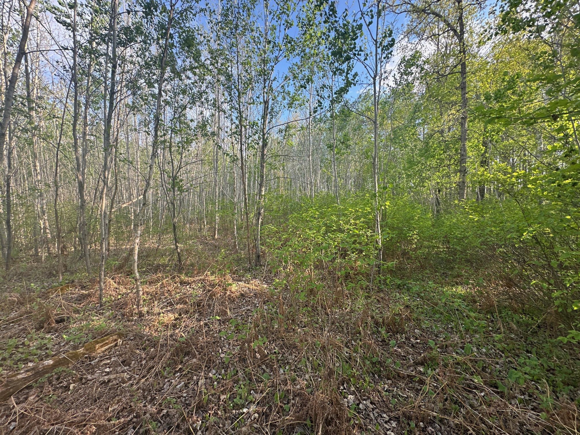 2045 County 47, Longville, Minnesota image 18