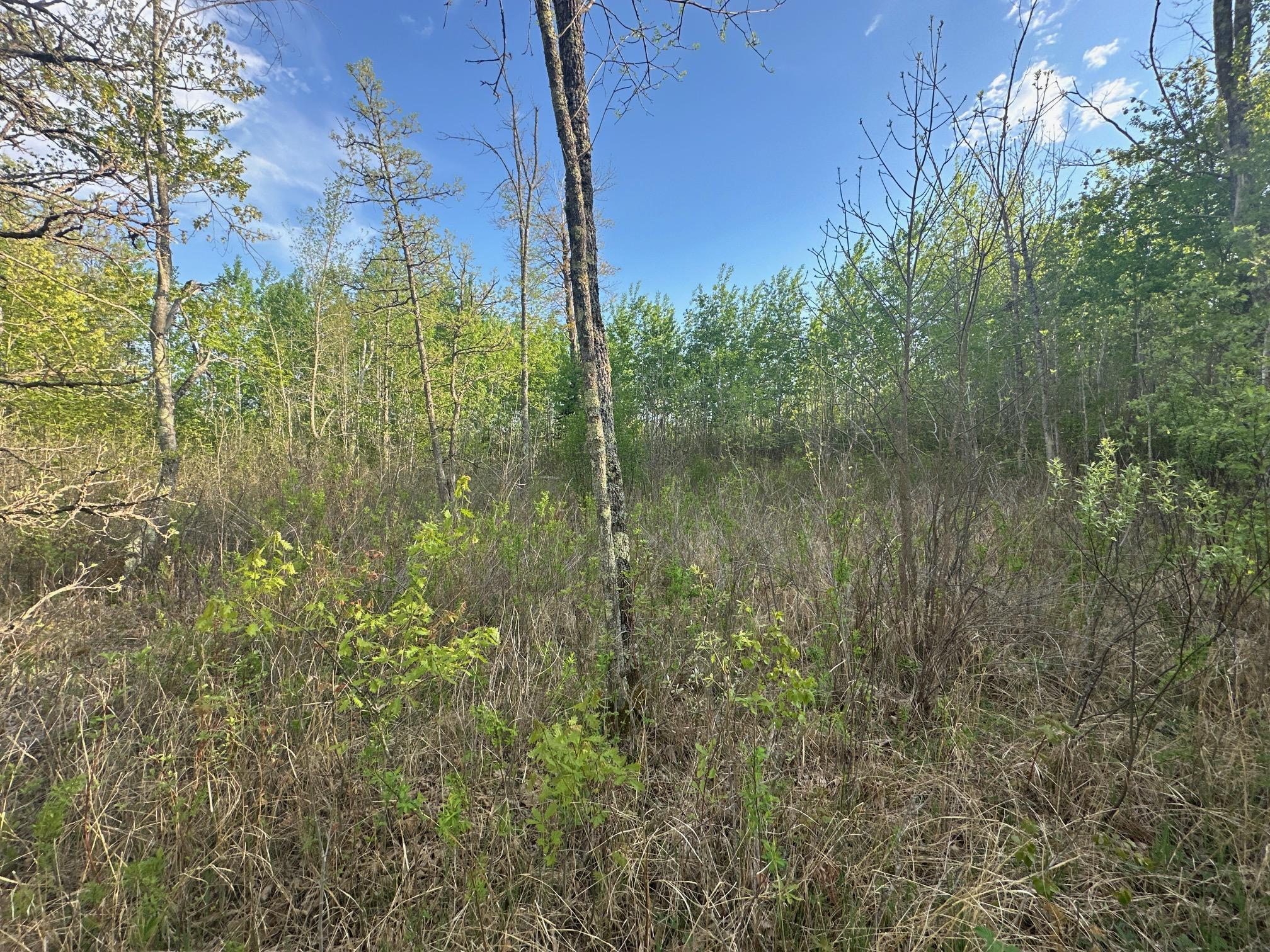 2045 County 47, Longville, Minnesota image 17