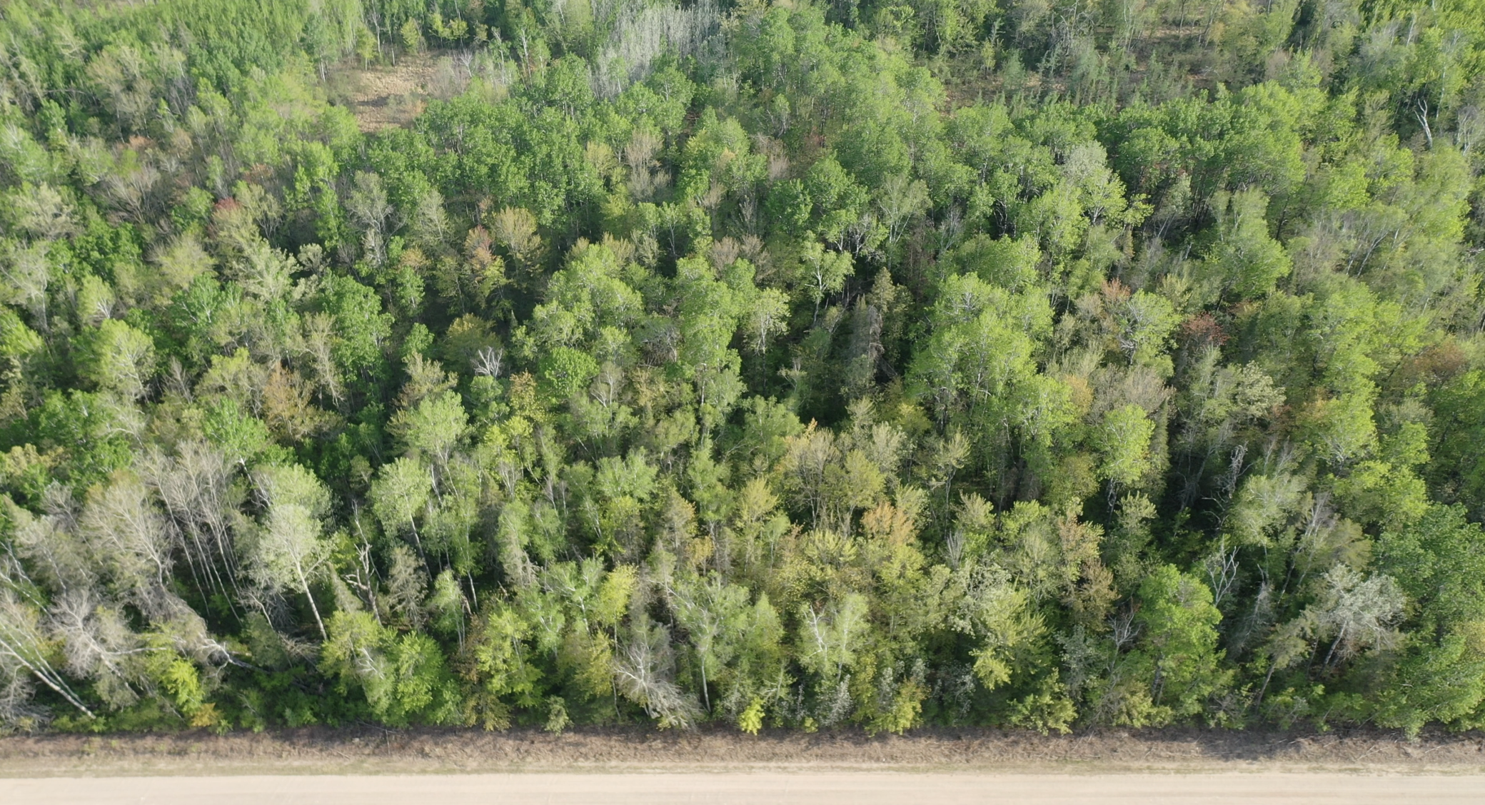 2045 County 47, Longville, Minnesota image 10