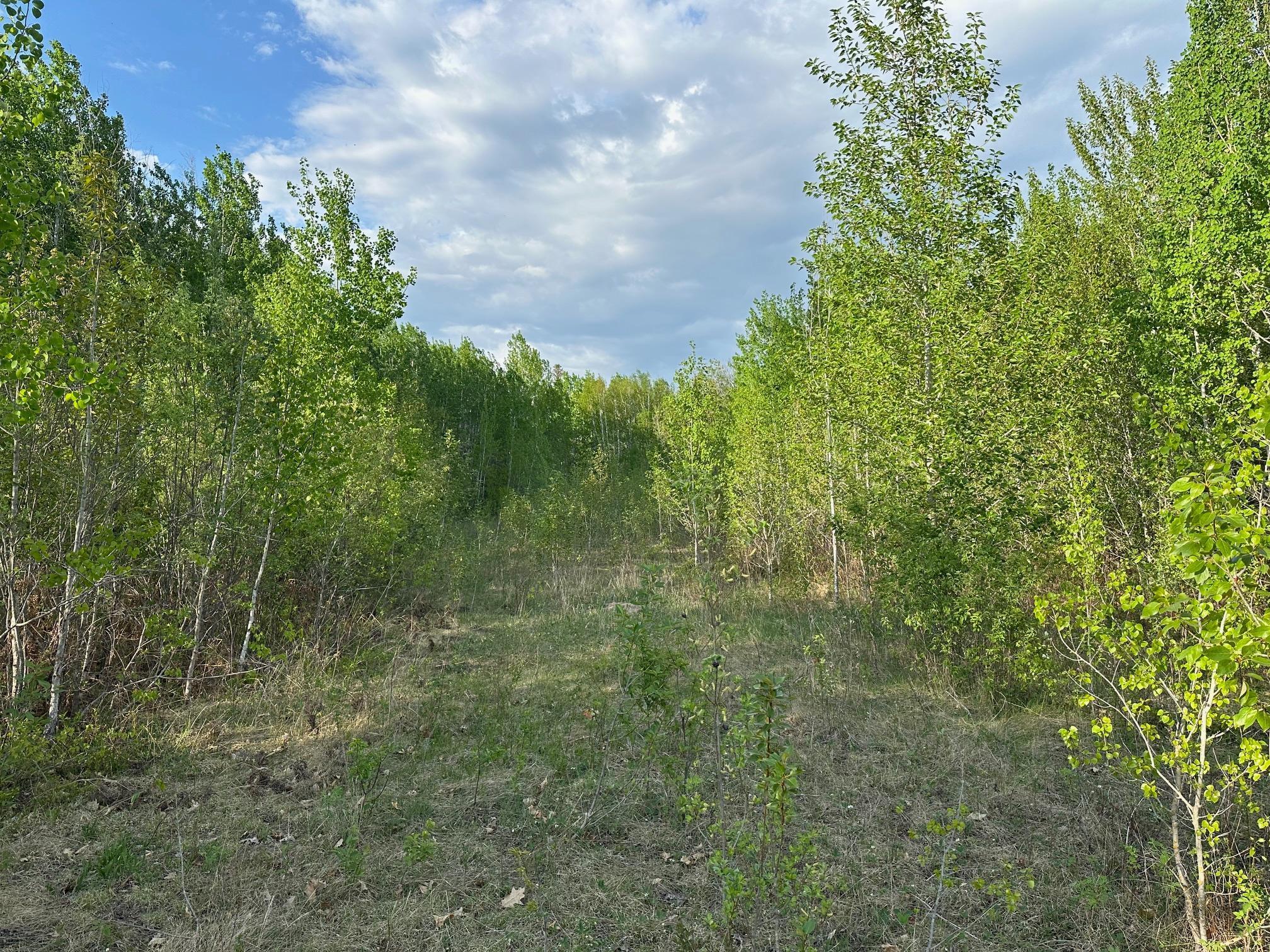 2045 County 47, Longville, Minnesota image 5