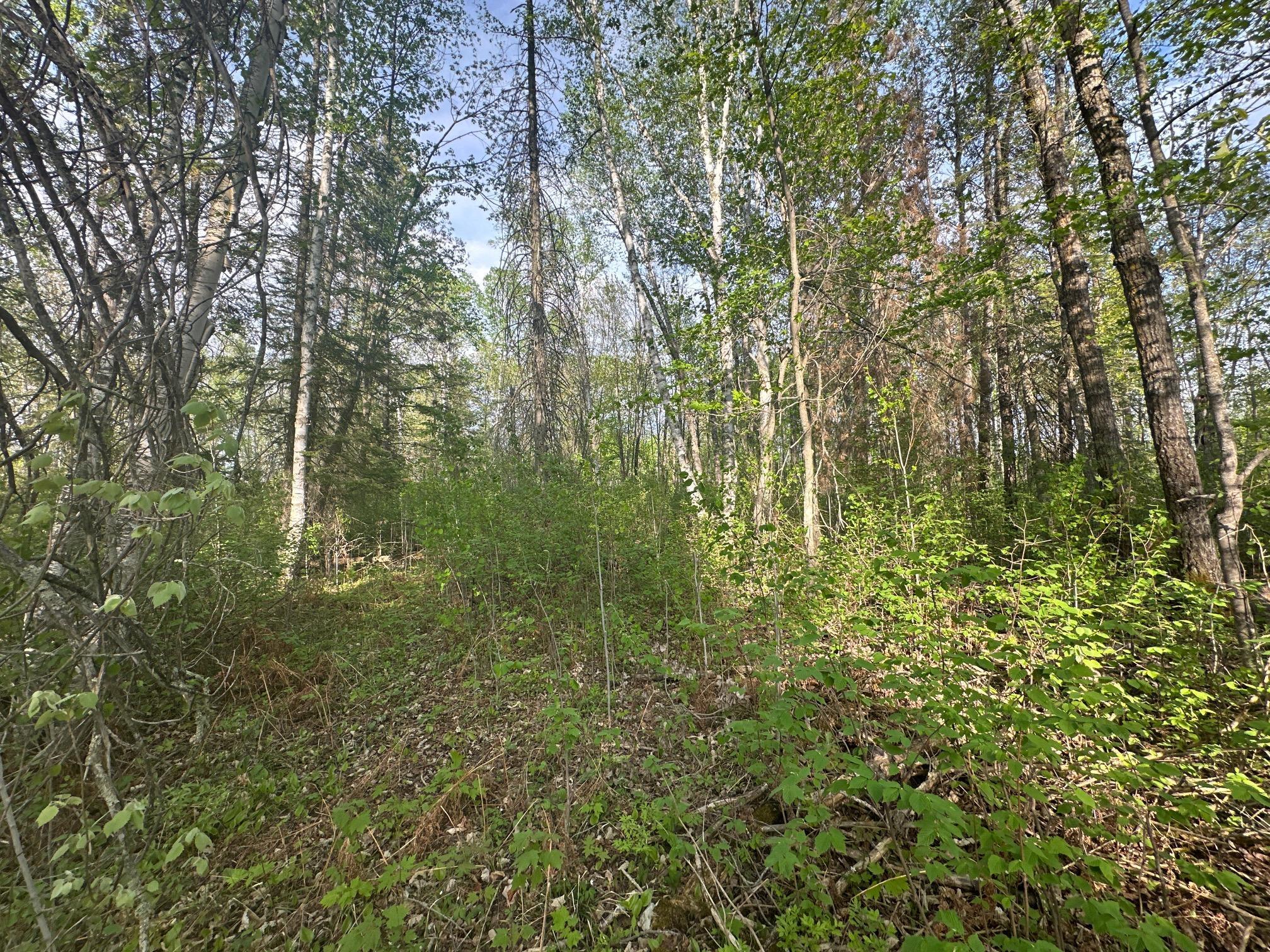 2045 County 47, Longville, Minnesota image 9