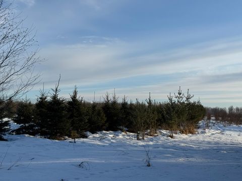 Vacant Land For Sale - TBD Scotch Pine Road<br/> Finlayson, MN 55735