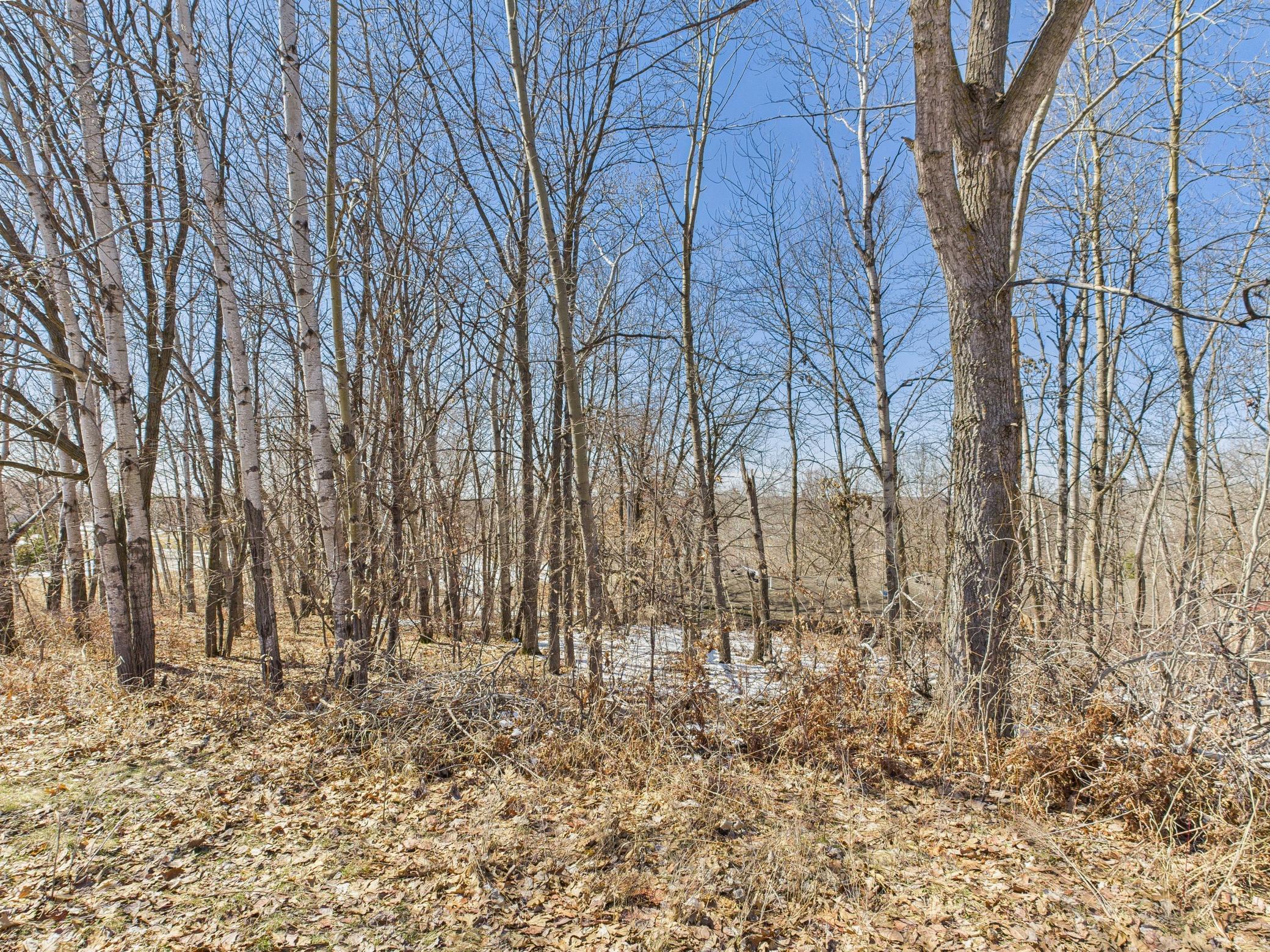 34683 Plum Hill Lane, Avon, Minnesota image 28