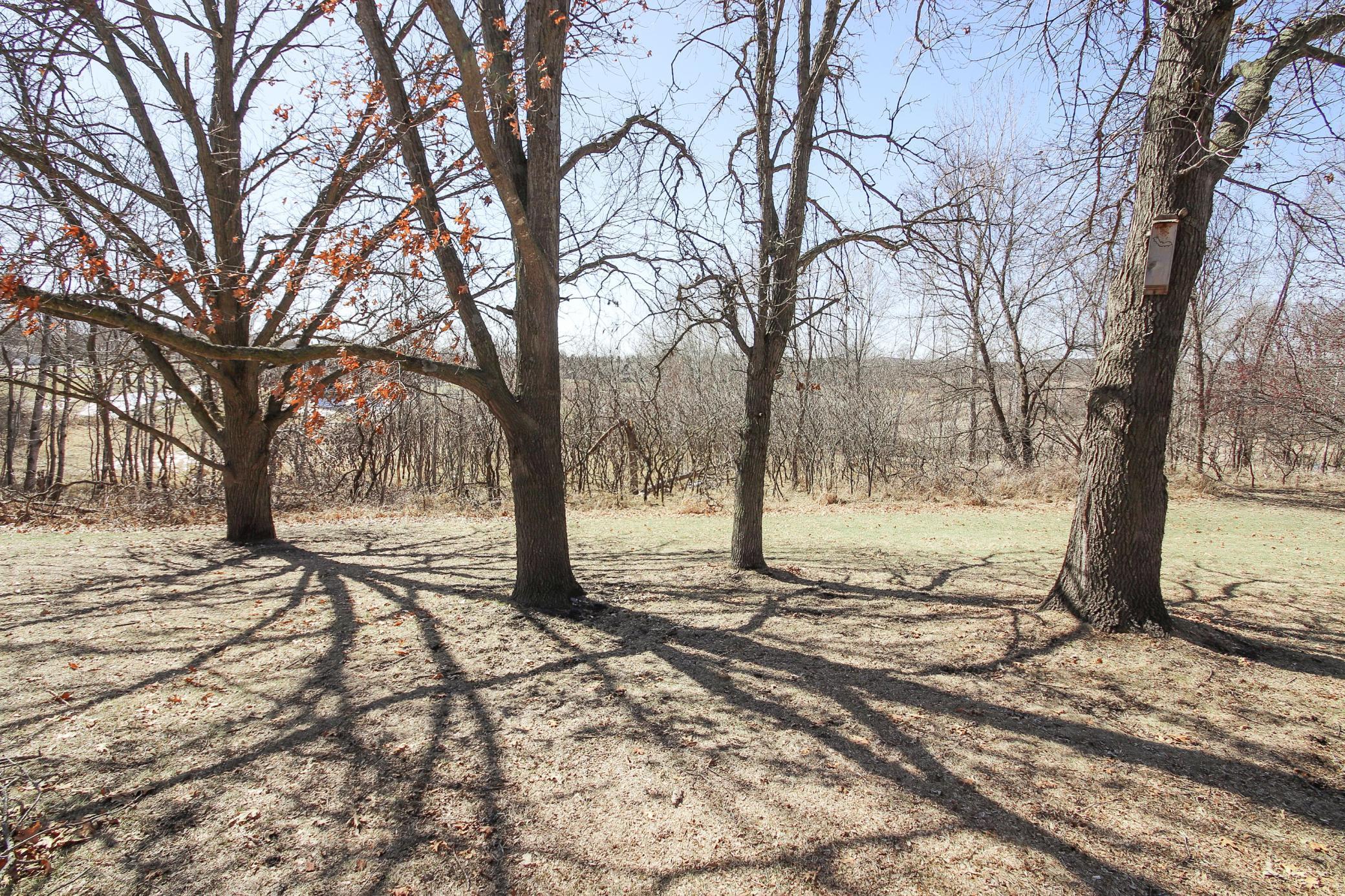 34683 Plum Hill Lane, Avon, Minnesota image 34