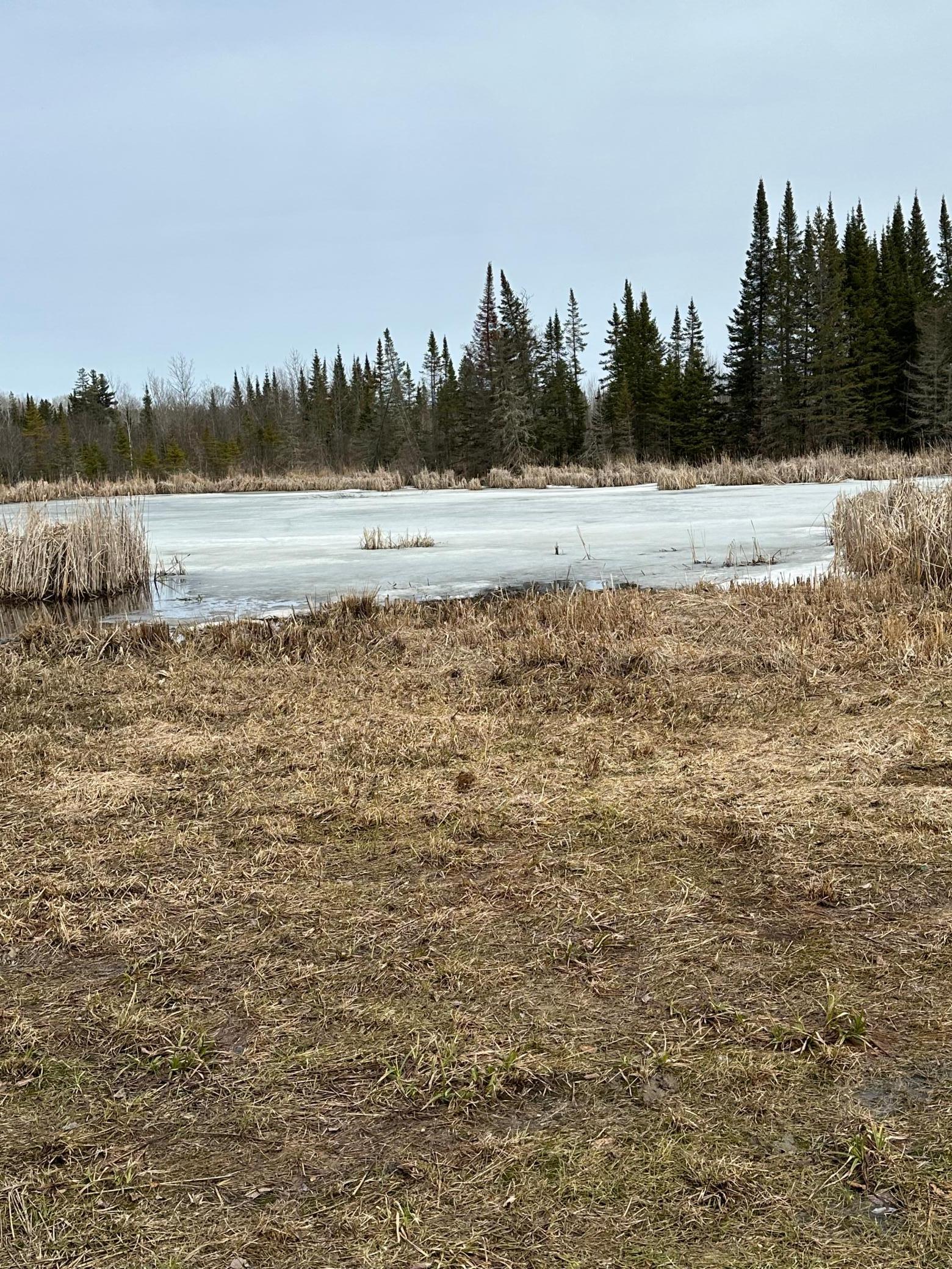 9664 Gamma Road, Kabetogama, Minnesota image 41