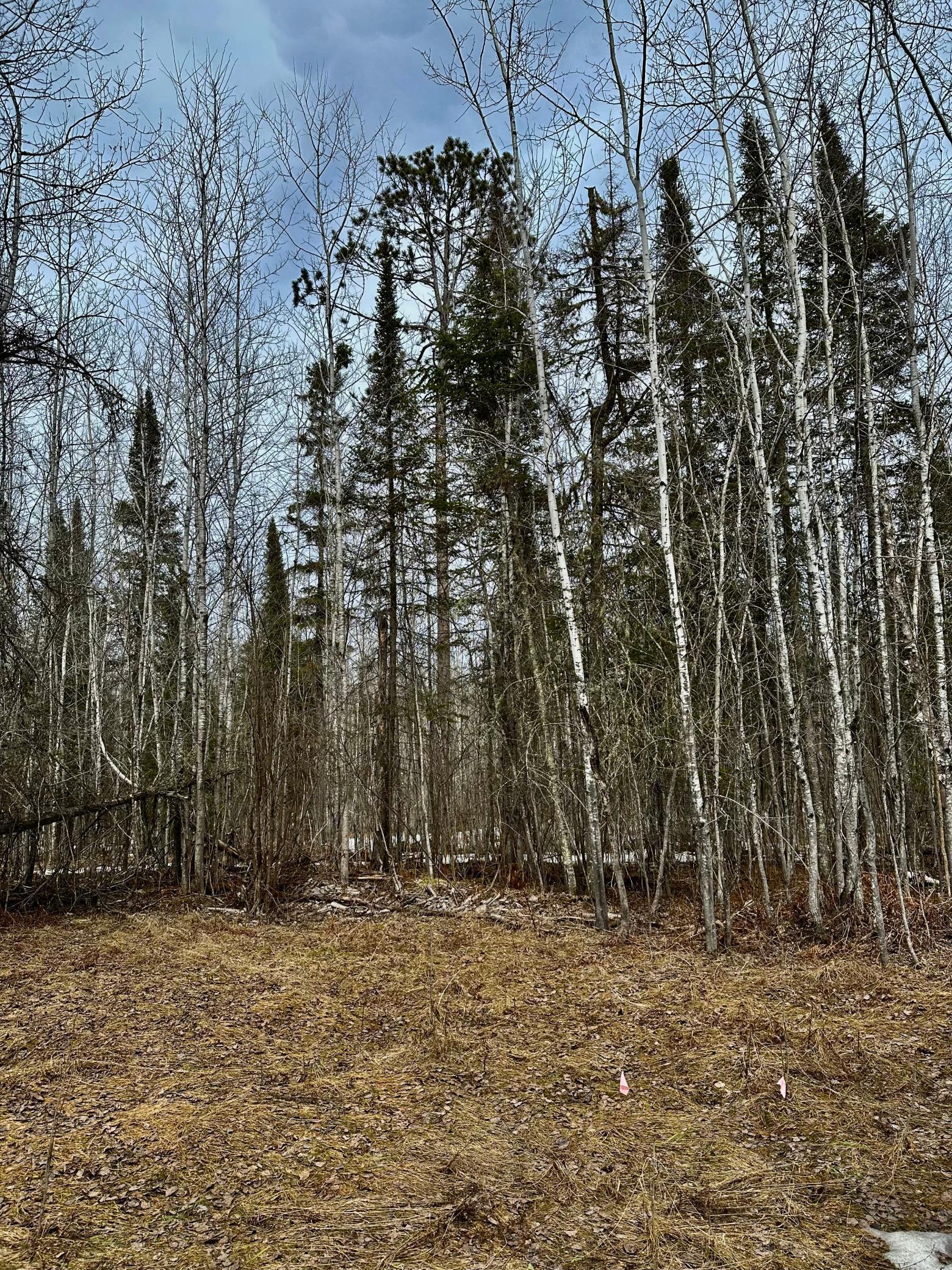 9664 Gamma Road, Kabetogama, Minnesota image 42