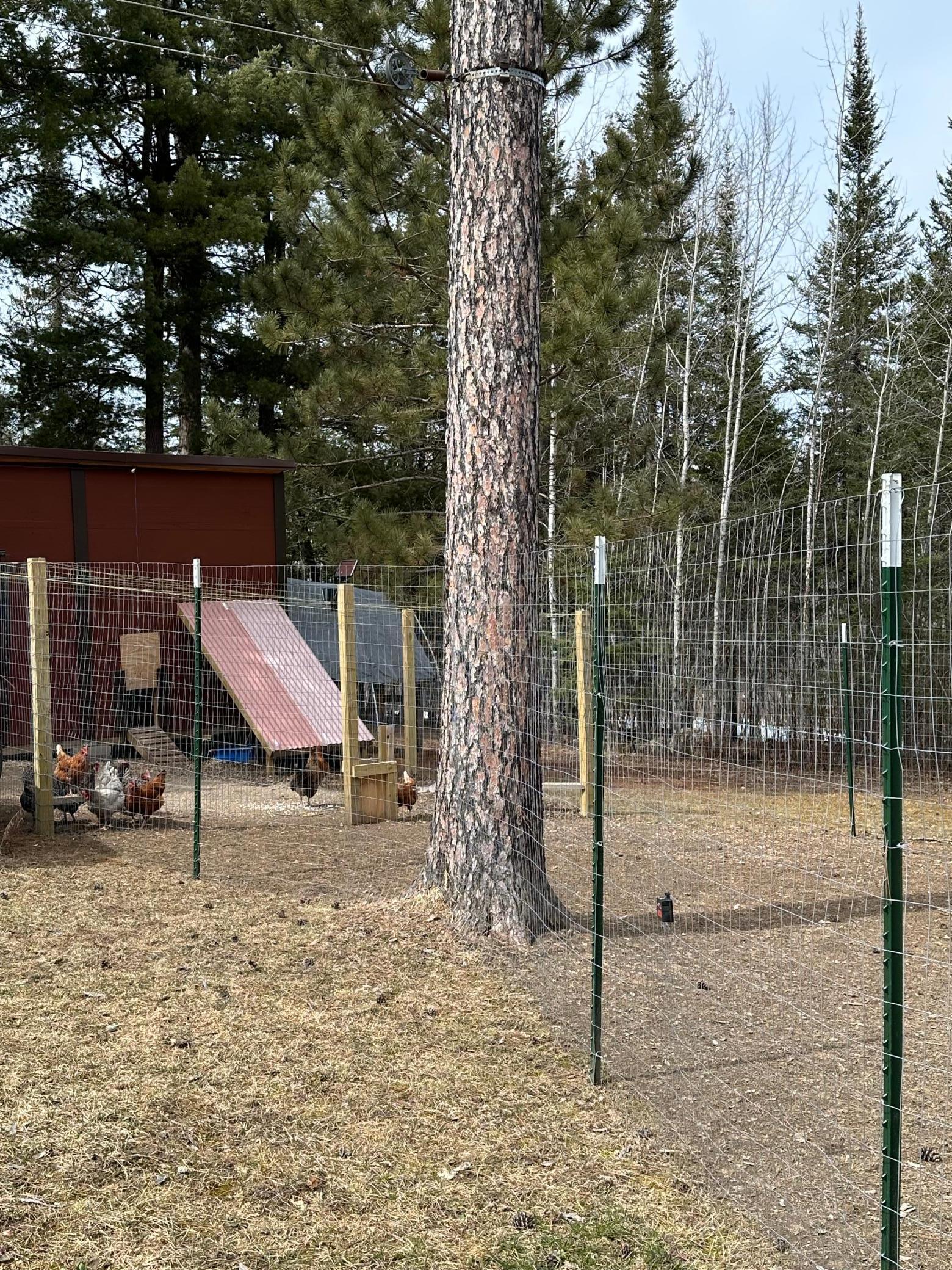 9664 Gamma Road, Kabetogama, Minnesota image 34