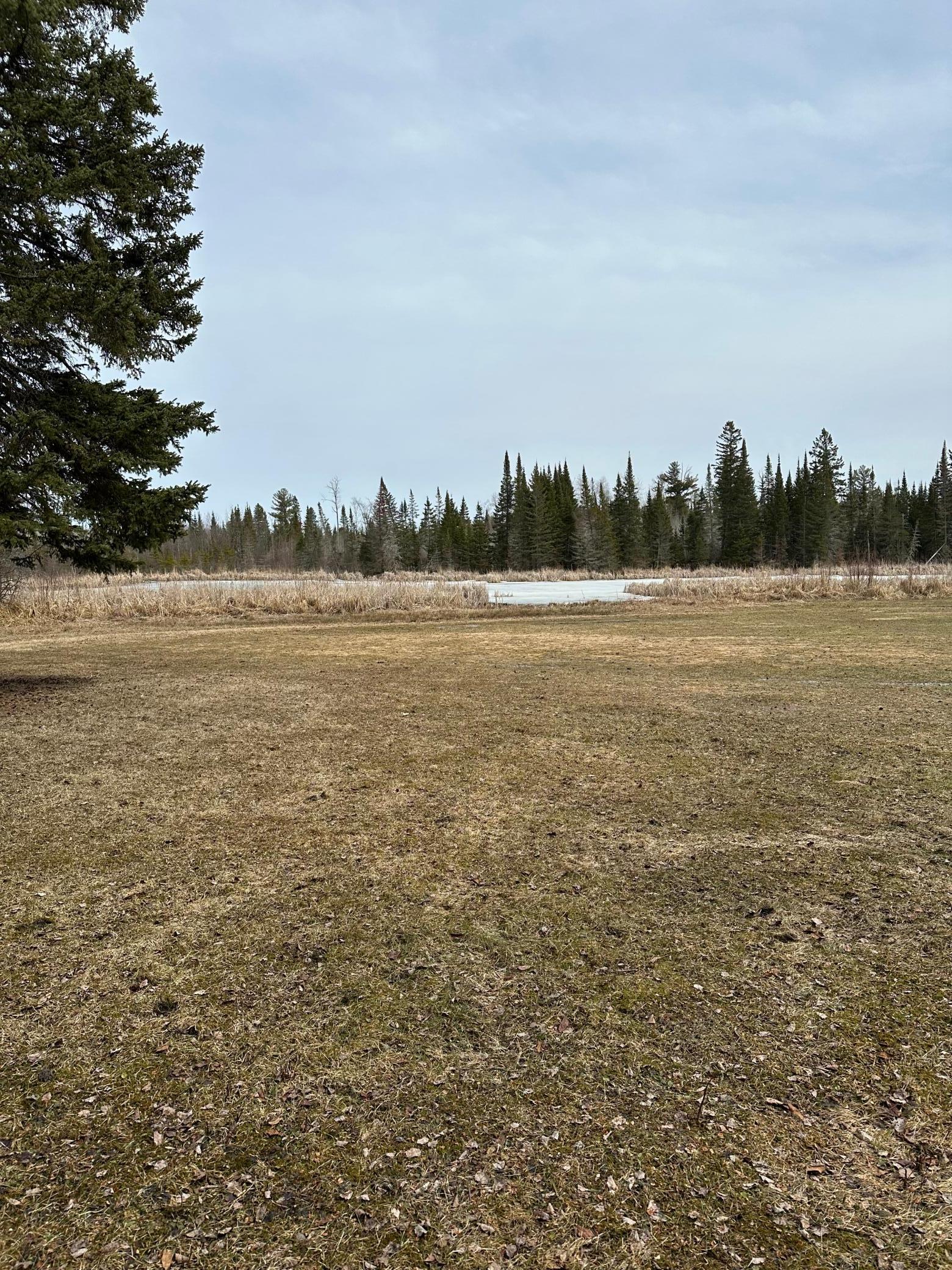 9664 Gamma Road, Kabetogama, Minnesota image 40