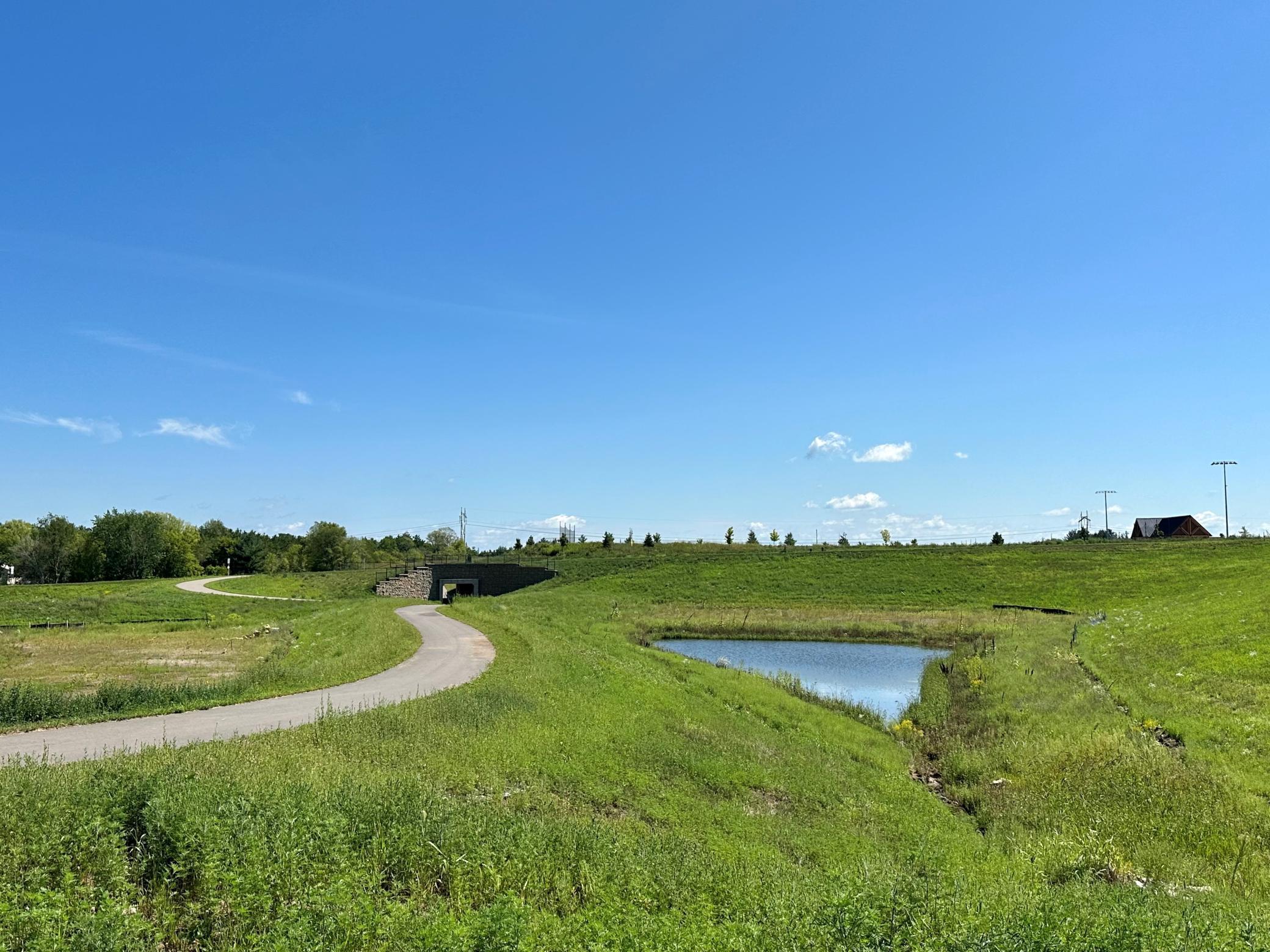 1199 Applewood Court, Rosemount, Minnesota image 38