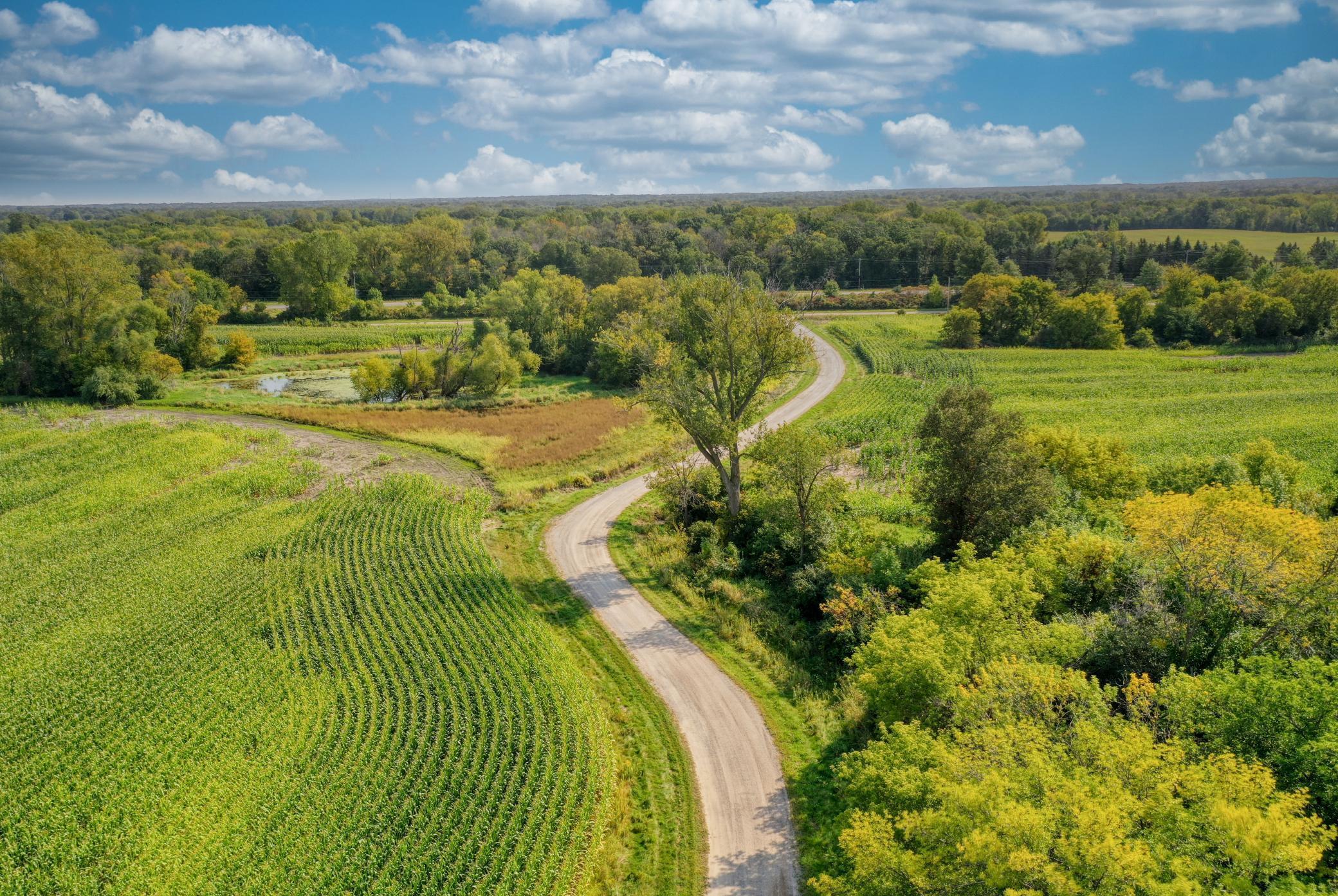 Xxxx Forest Road, Forest Lake, Minnesota image 33