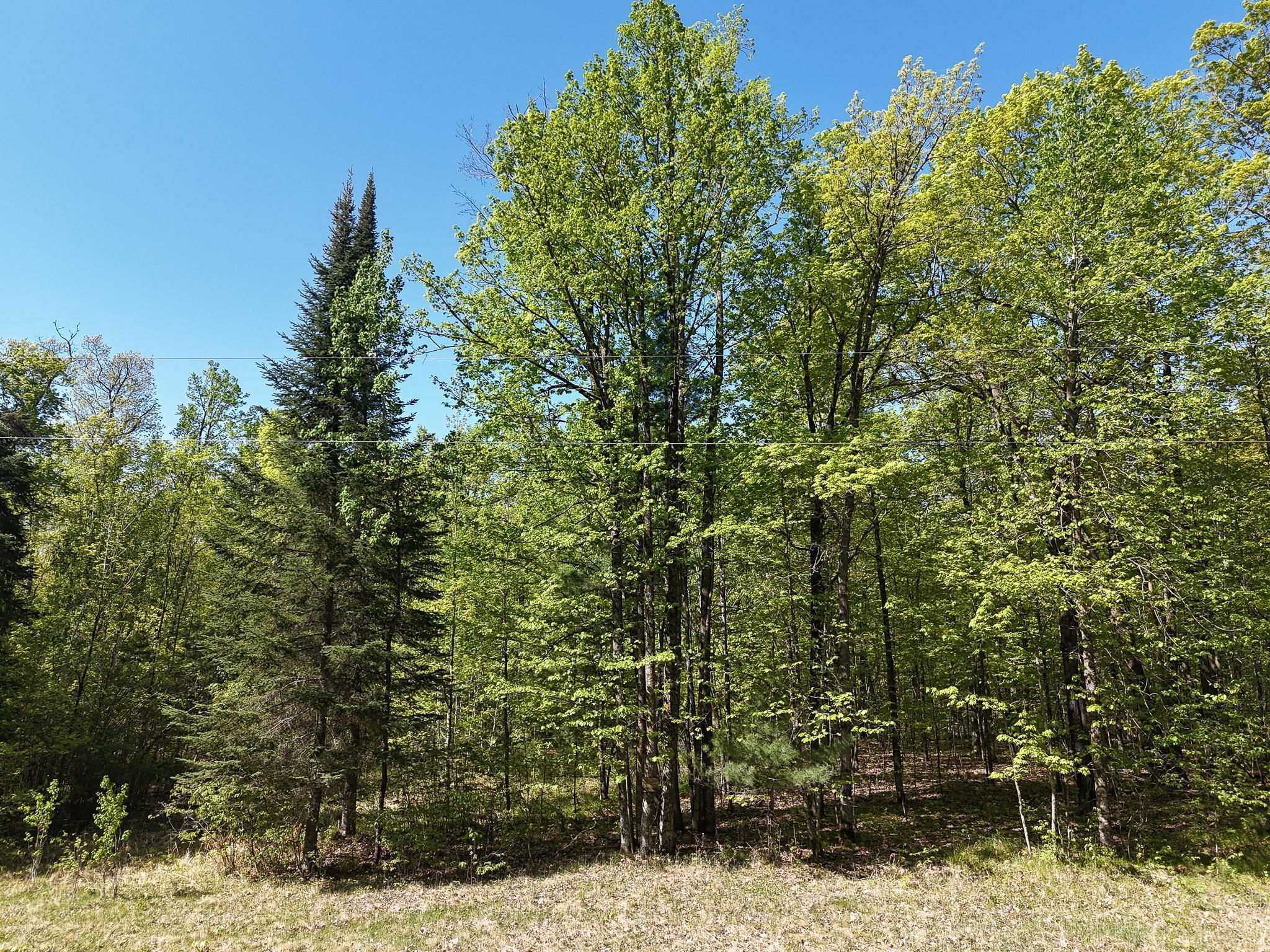 TBD County Rd 7, Remer, Minnesota image 4