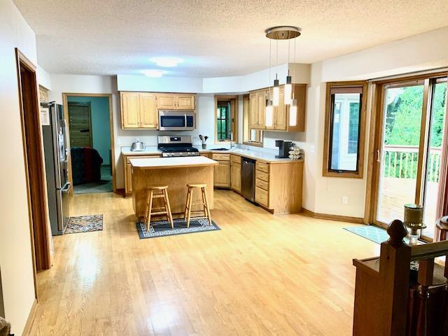 701 Parkview Lane, Champlin, Minnesota image 7