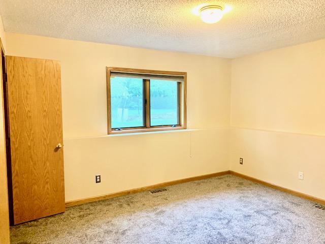 701 Parkview Lane, Champlin, Minnesota image 21