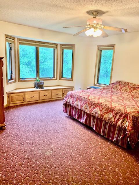 701 Parkview Lane, Champlin, Minnesota image 12