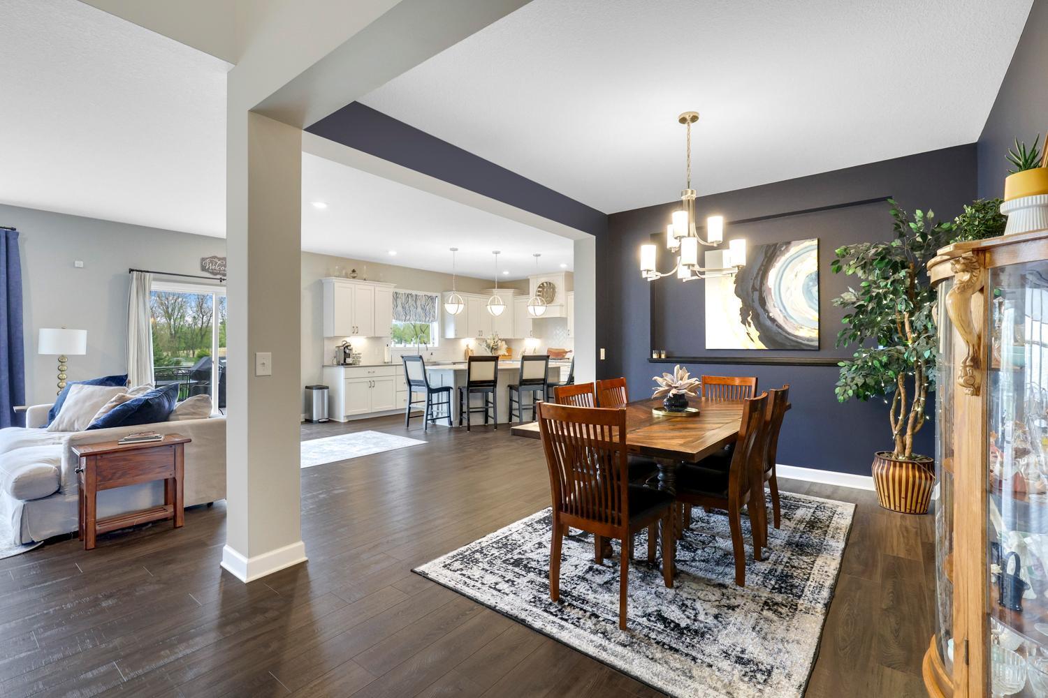 13404 Avila Avenue, Rosemount, Minnesota image 3