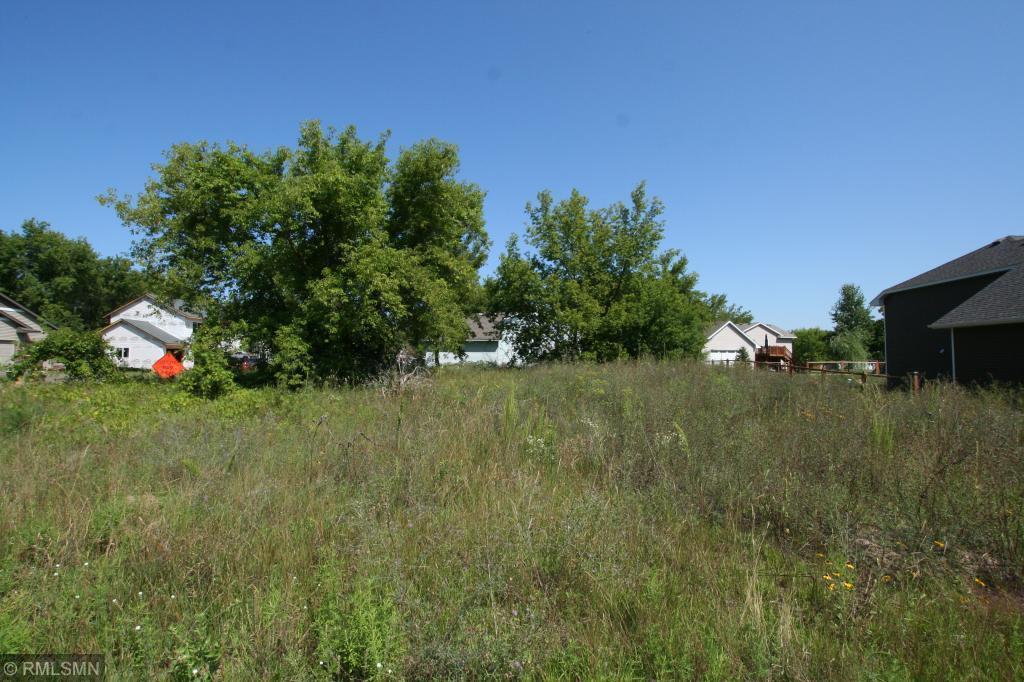 24317 Polk Street, East Bethel, Minnesota image 11