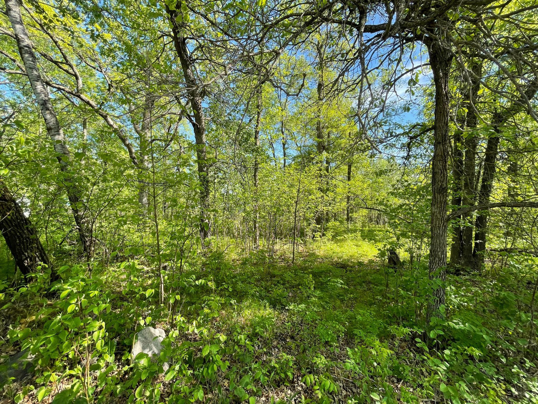 TBD Wedgewood Road, Walker, Minnesota image 12