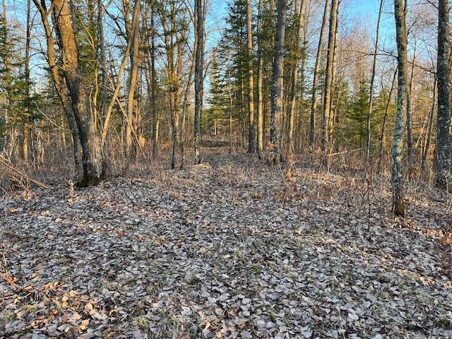 28353 Sunrise Circle, Brook Park, Minnesota image 25