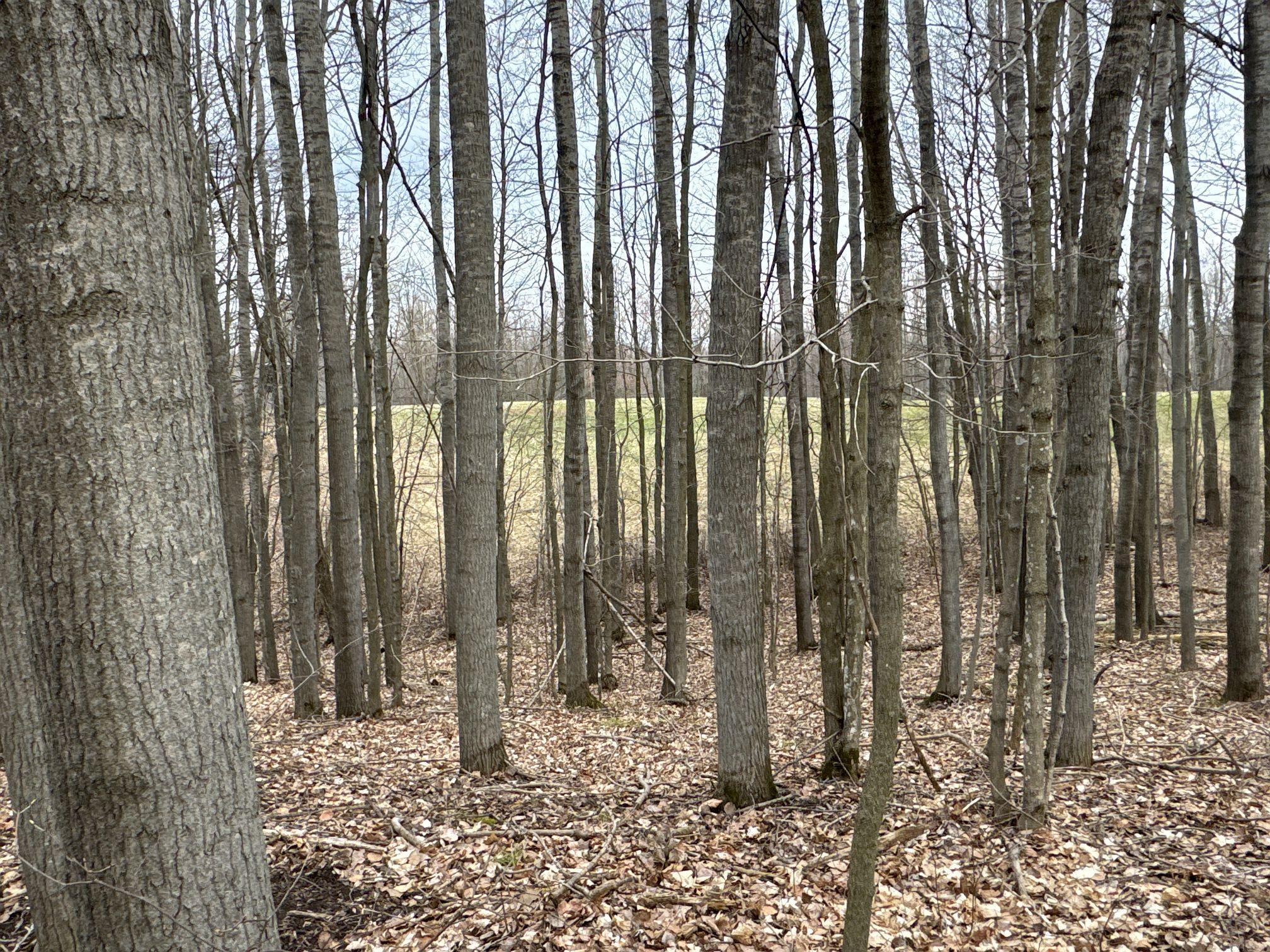 X Flambeau Avenue, Ladysmith, Wisconsin image 20