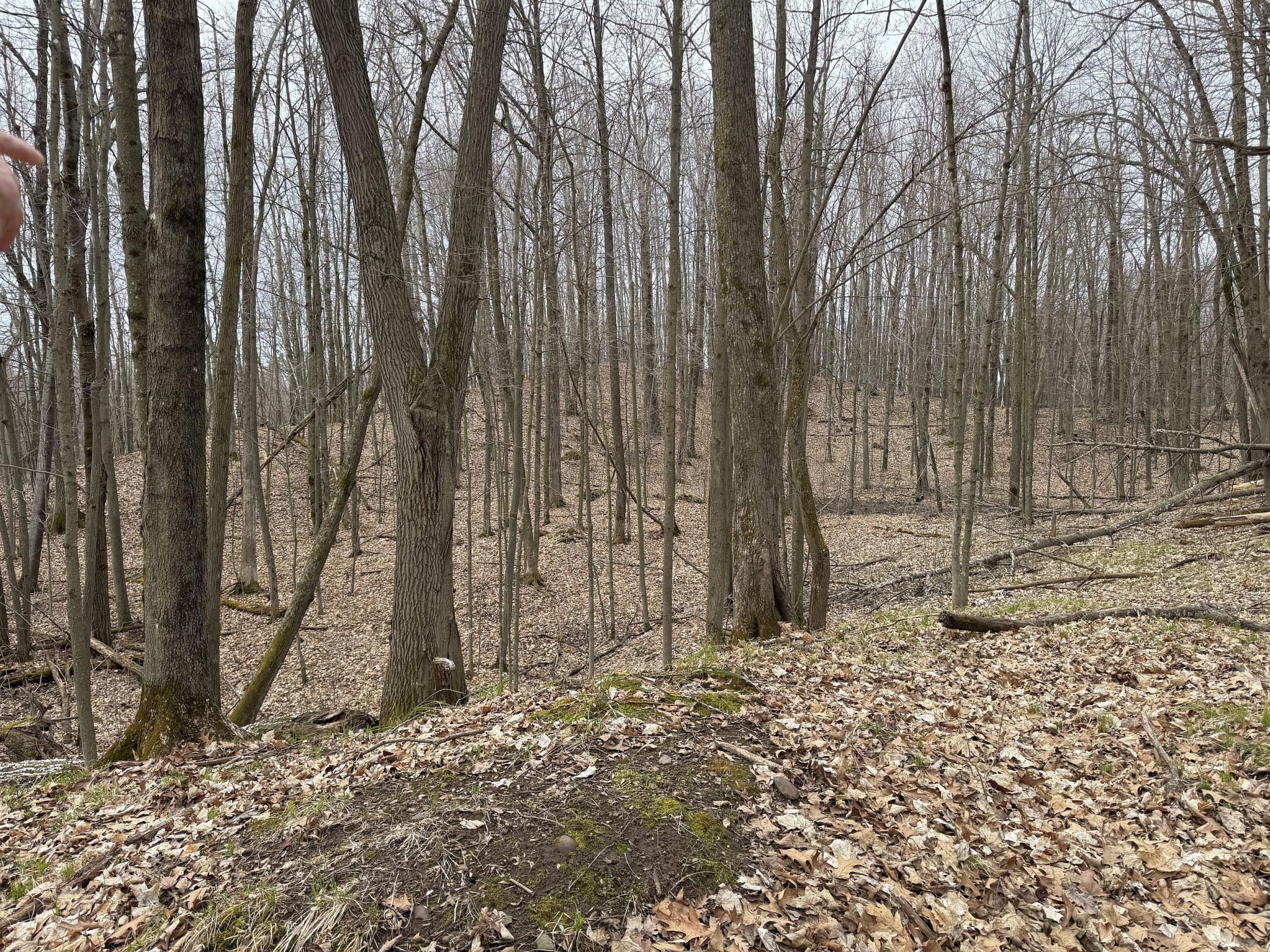 X Flambeau Avenue, Ladysmith, Wisconsin image 17