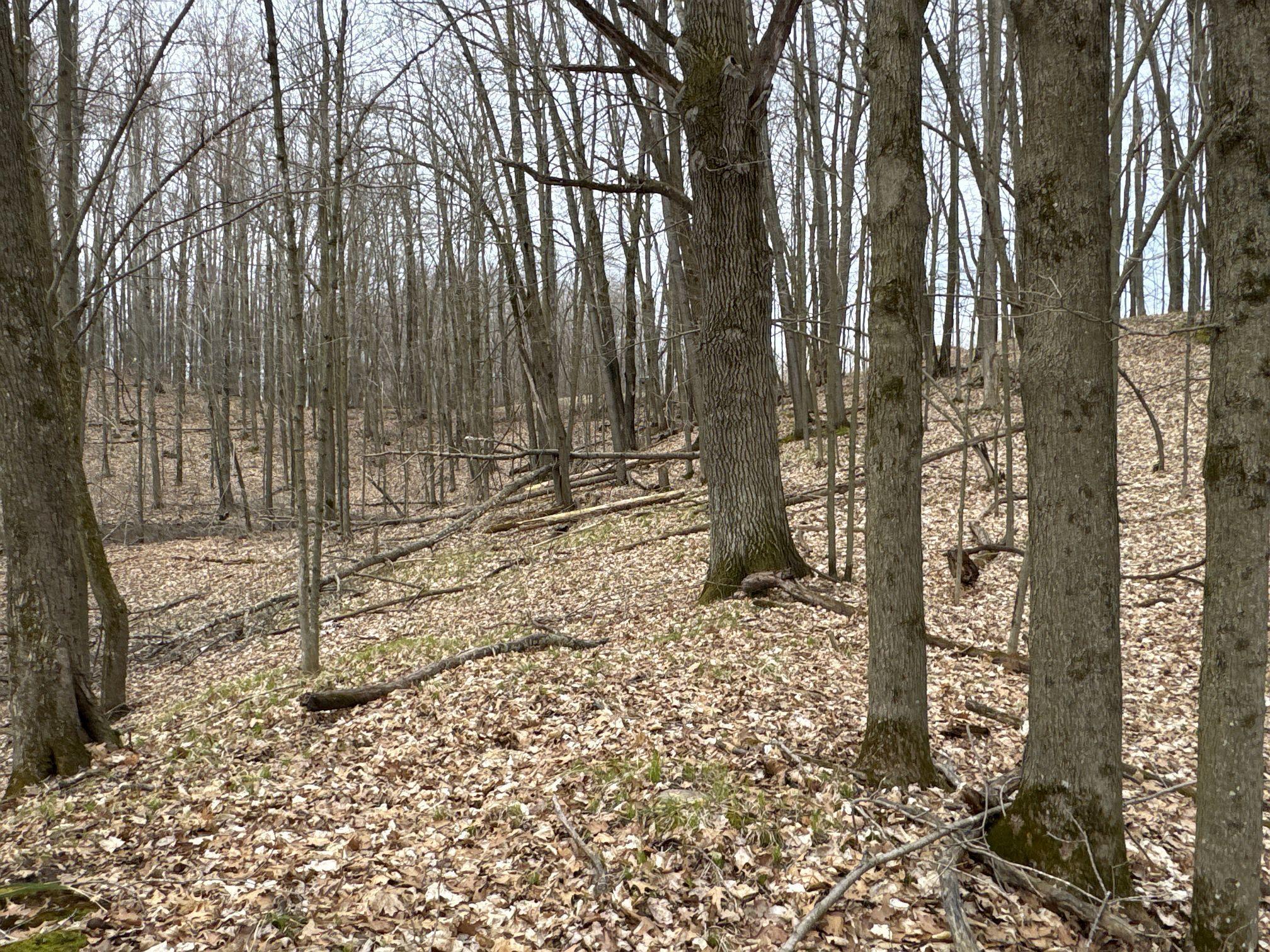 X Flambeau Avenue, Ladysmith, Wisconsin image 19