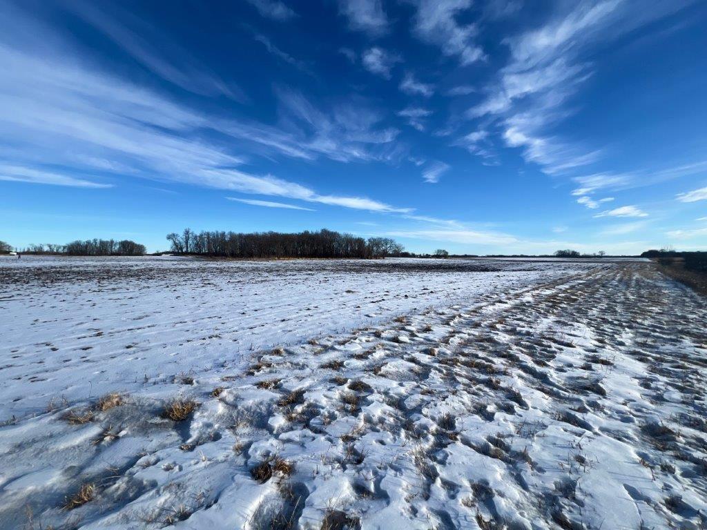 XXX Judicial Ditch Road, Nelson, Minnesota image 1