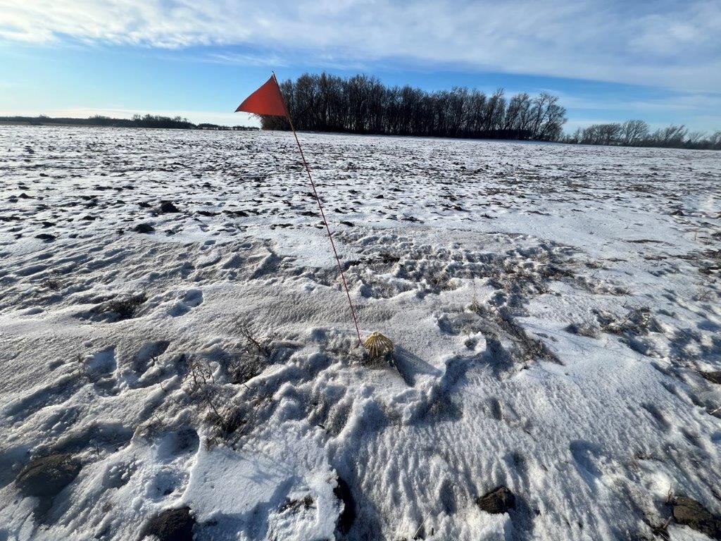 XXX Judicial Ditch Road, Nelson, Minnesota image 4