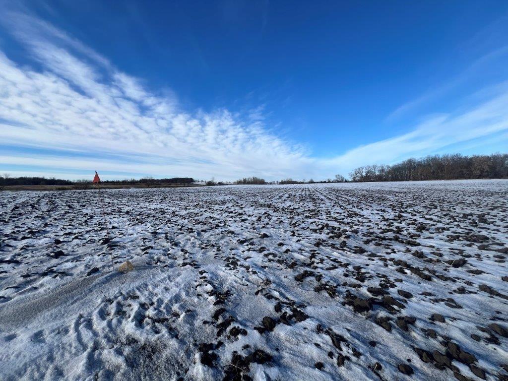 XXX Judicial Ditch Road, Nelson, Minnesota image 3