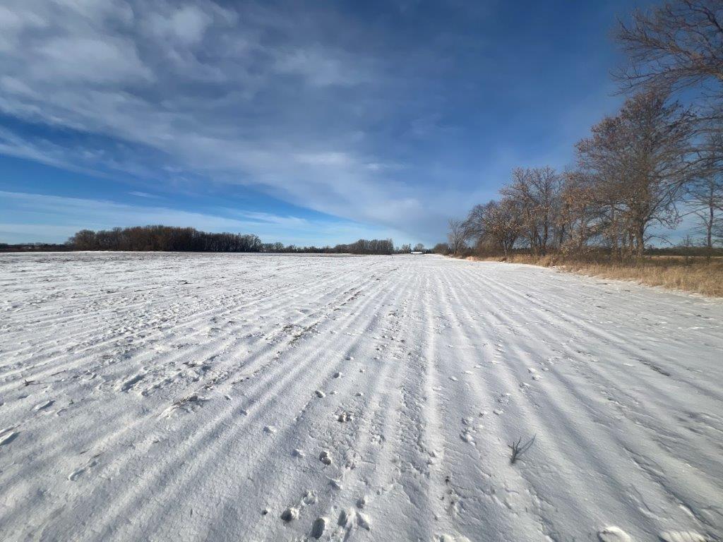 XXX Judicial Ditch Road, Nelson, Minnesota image 13